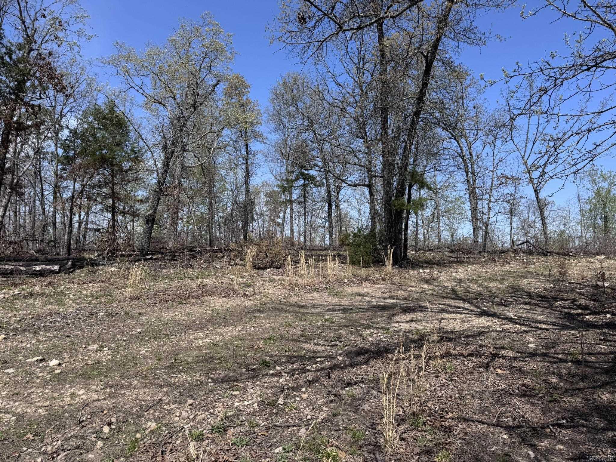 155A  Campground Road  Wideman, AR
