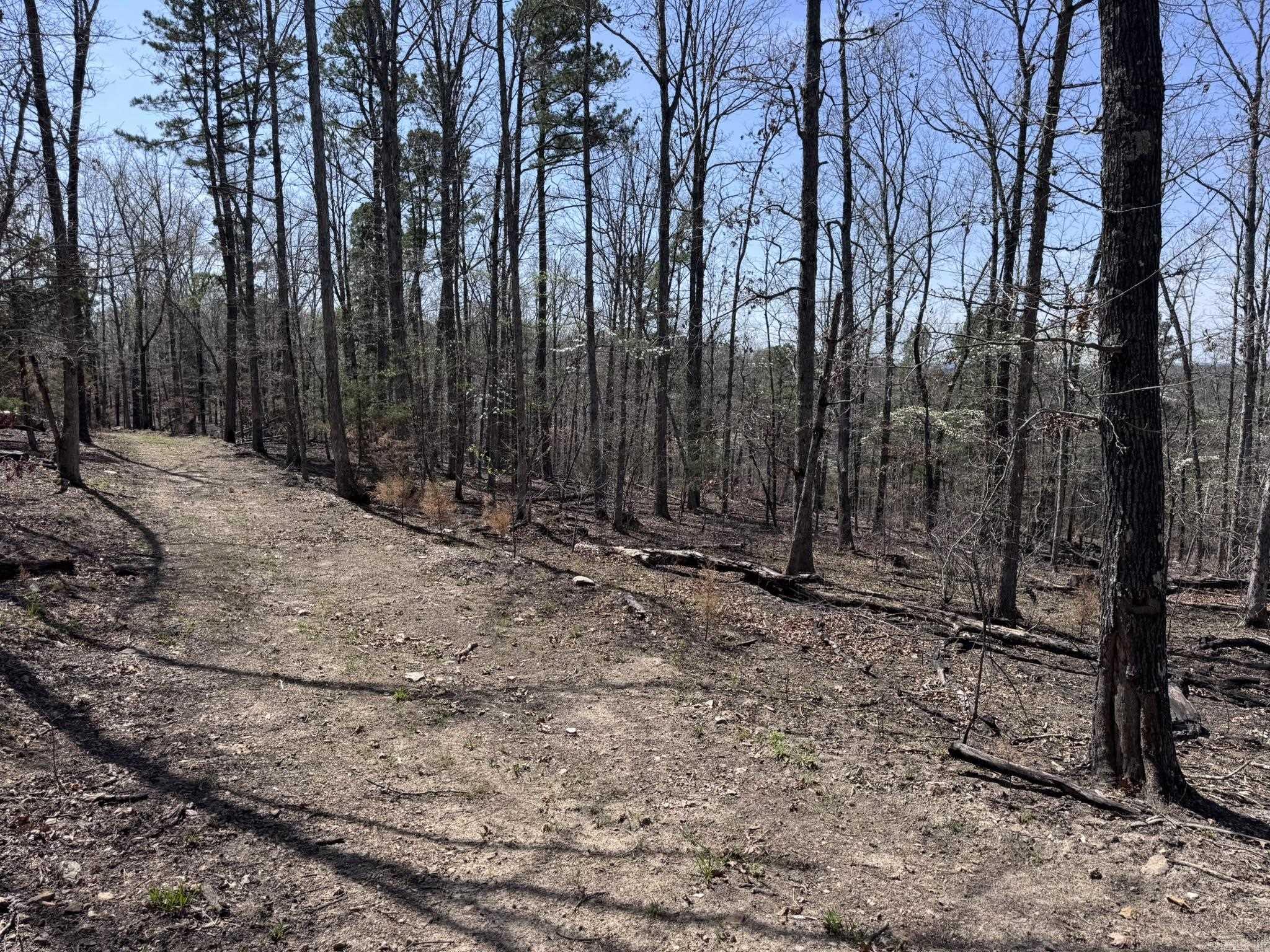 155A  Campground Road  Wideman, AR