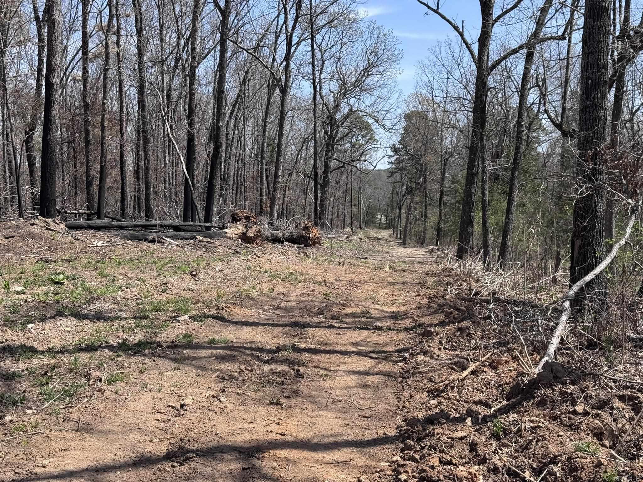 155A  Campground Road  Wideman, AR