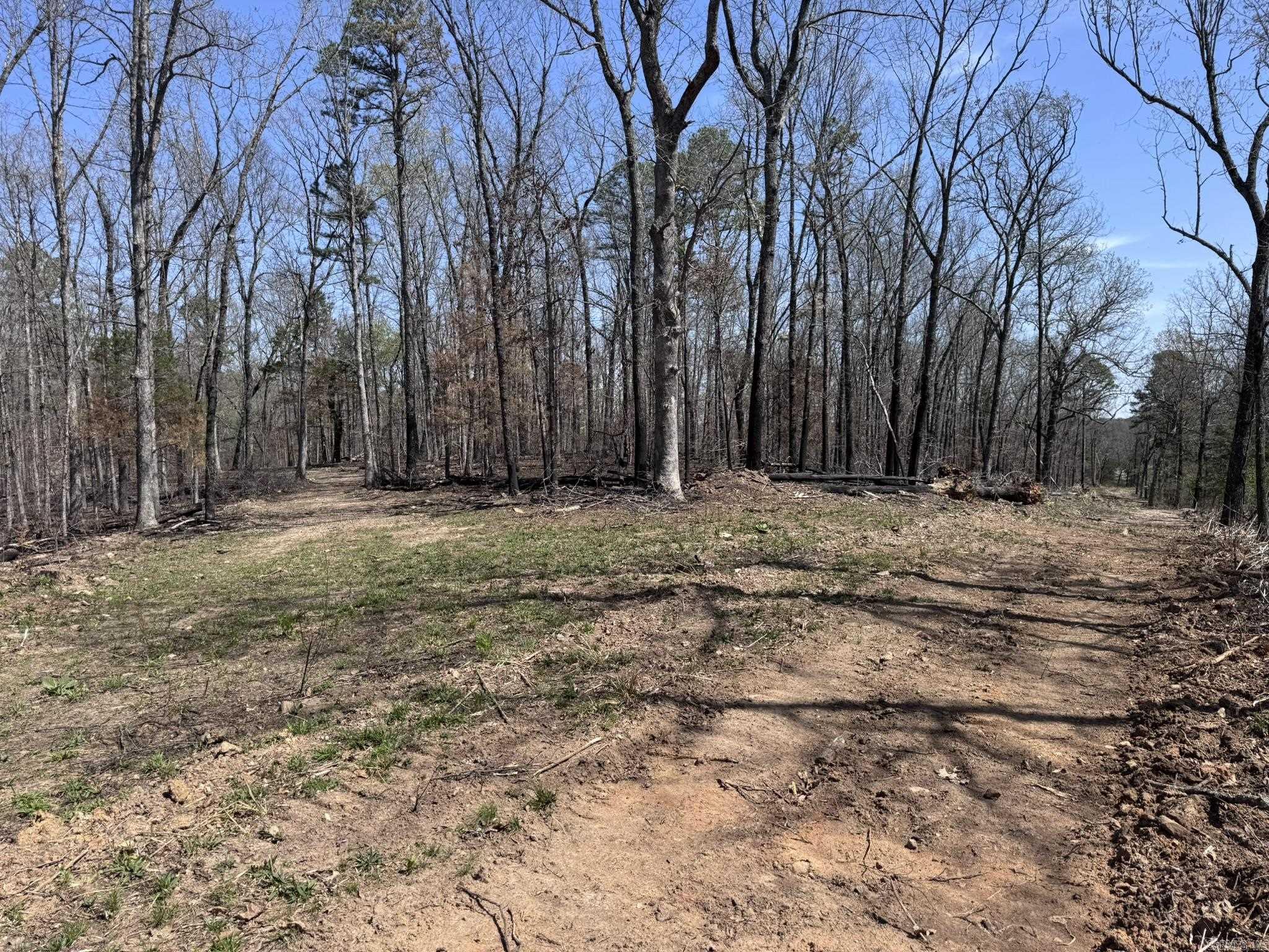 155A  Campground Road  Wideman, AR