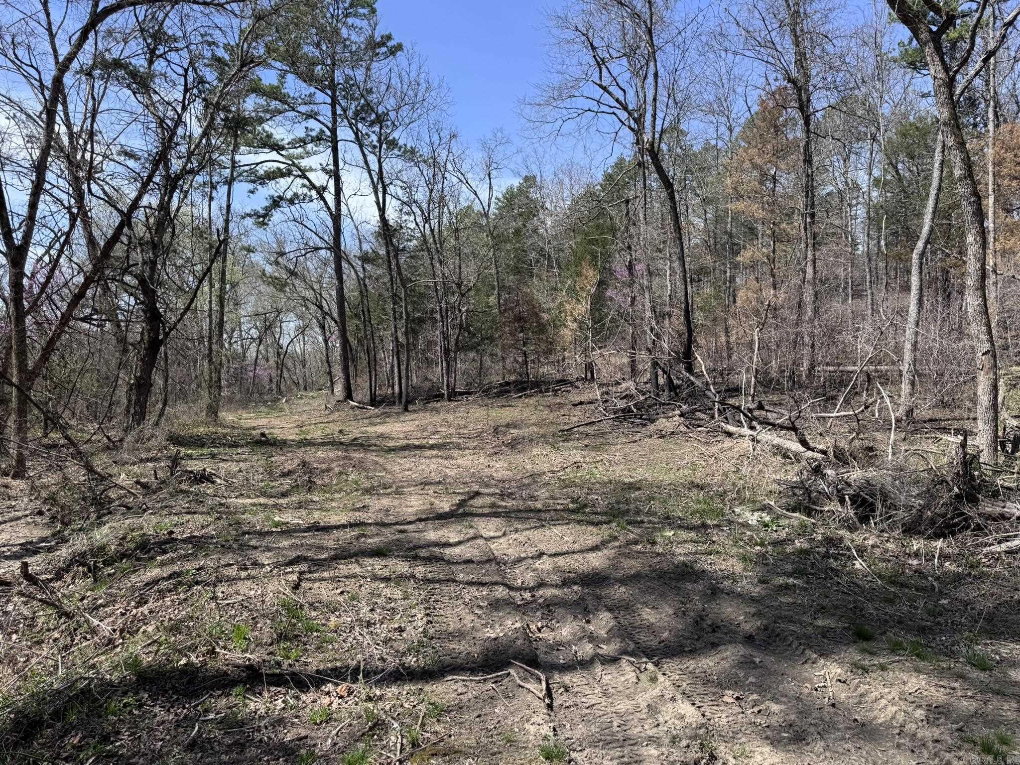 155A  Campground Road  Wideman, AR