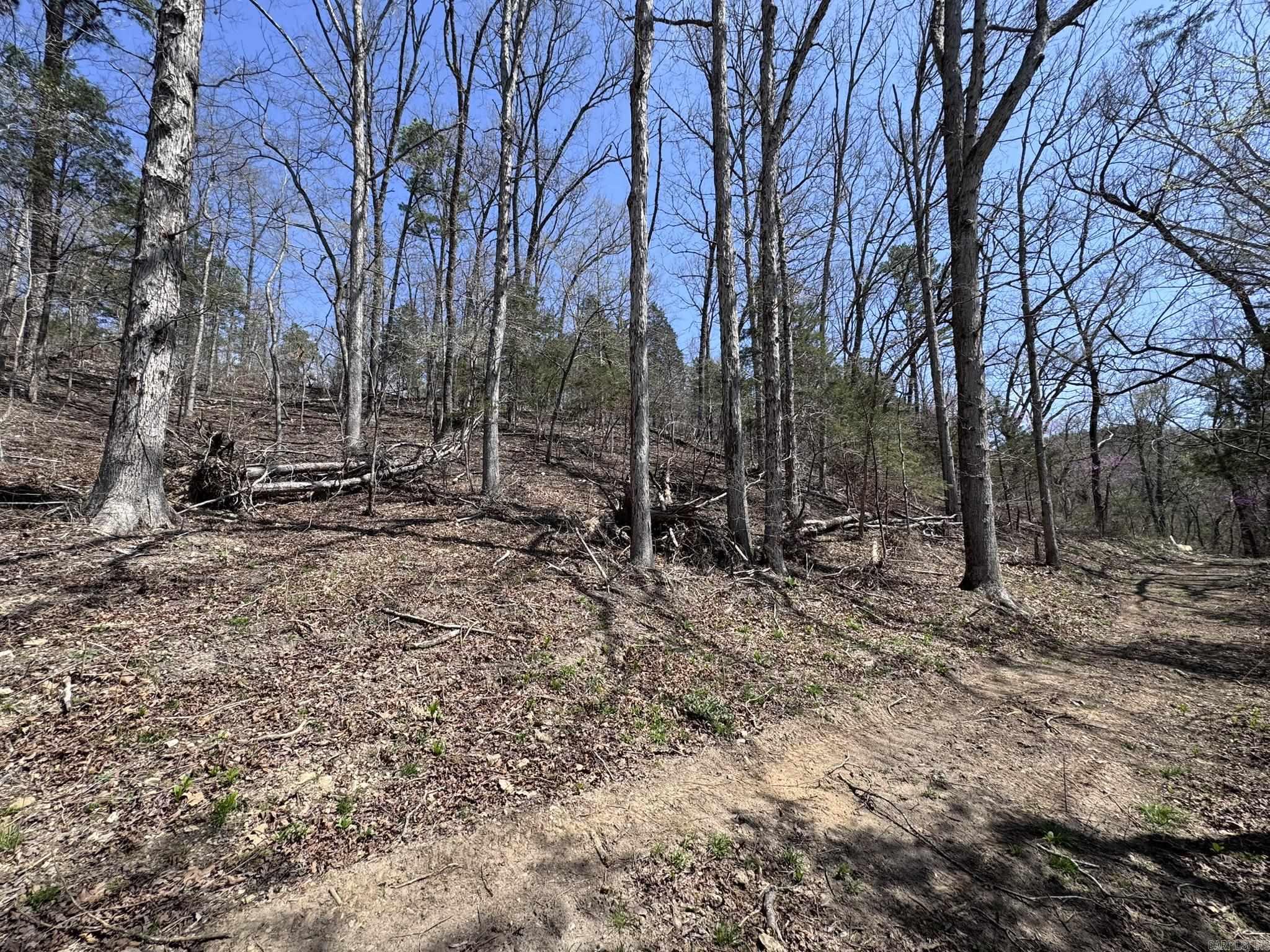 155A  Campground Road  Wideman, AR