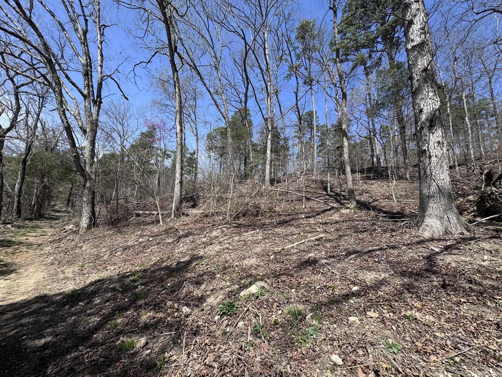 155A  Campground Road  Wideman, AR