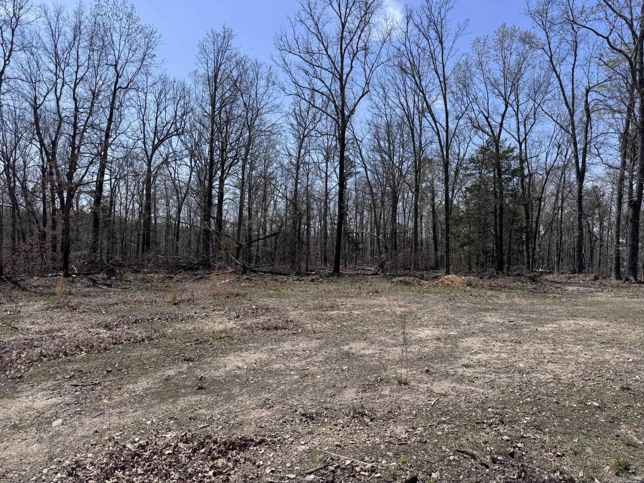 155A  Campground Road  Wideman, AR