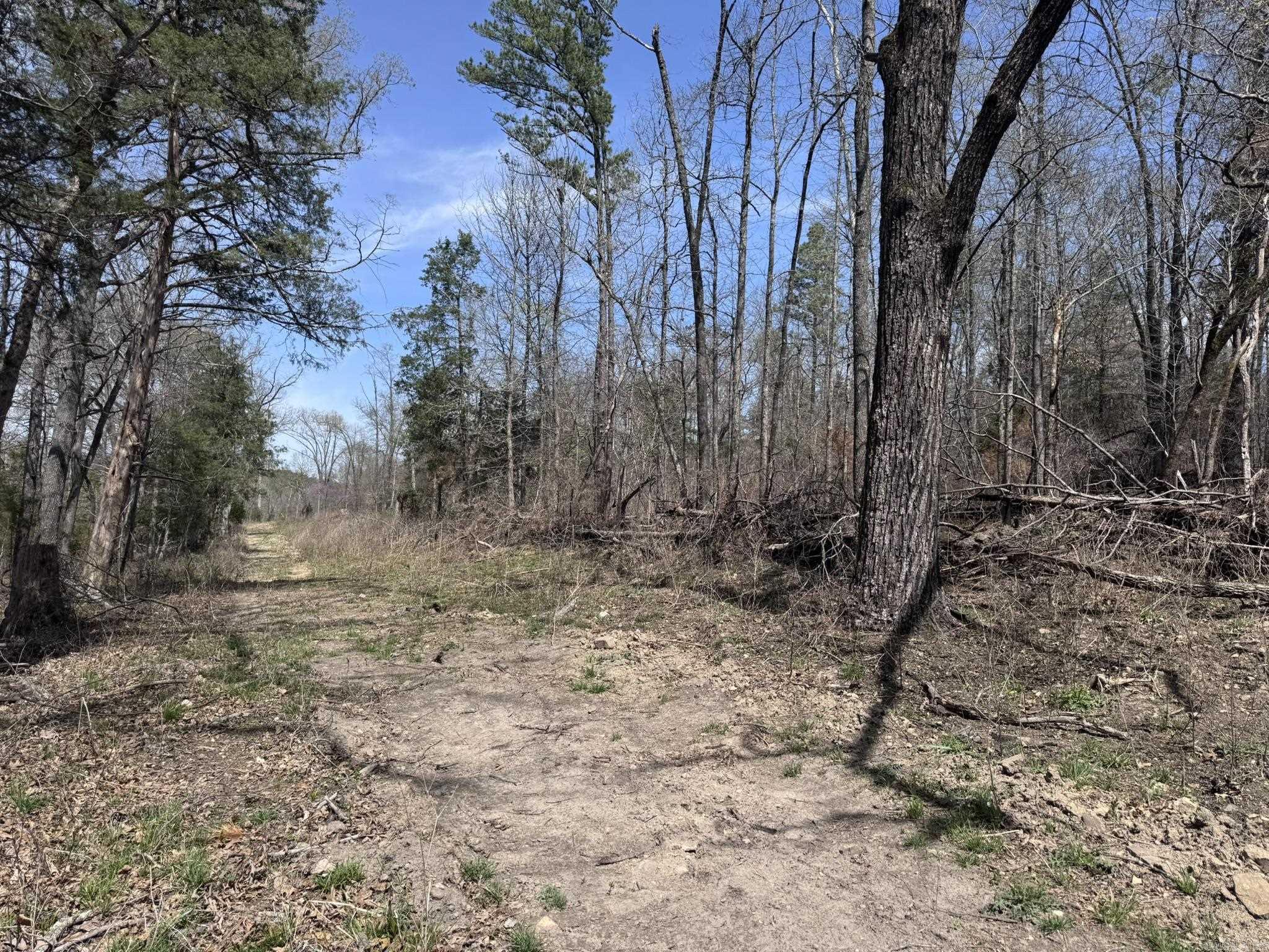 155A  Campground Road  Wideman, AR