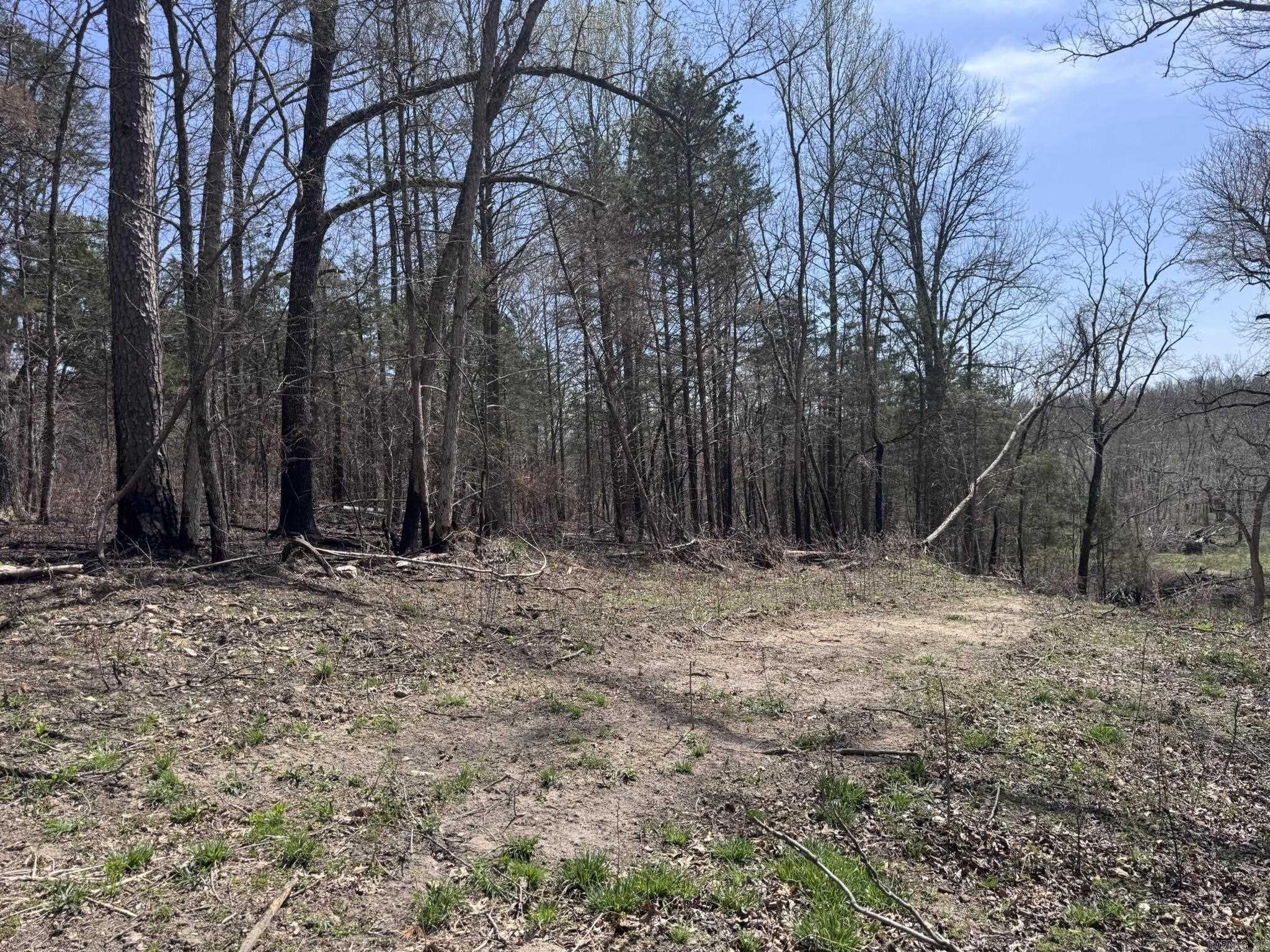 155A  Campground Road  Wideman, AR