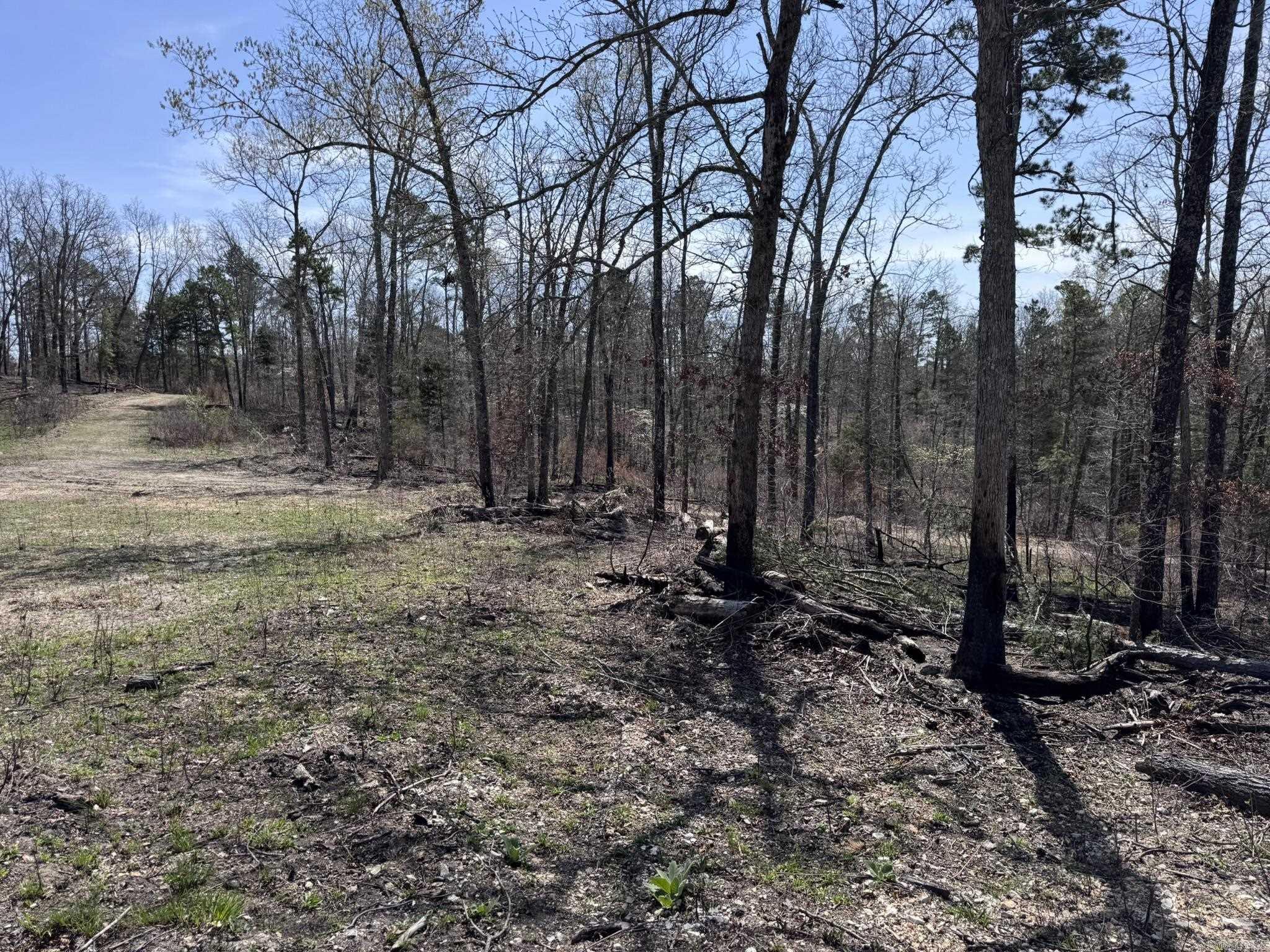155A  Campground Road  Wideman, AR