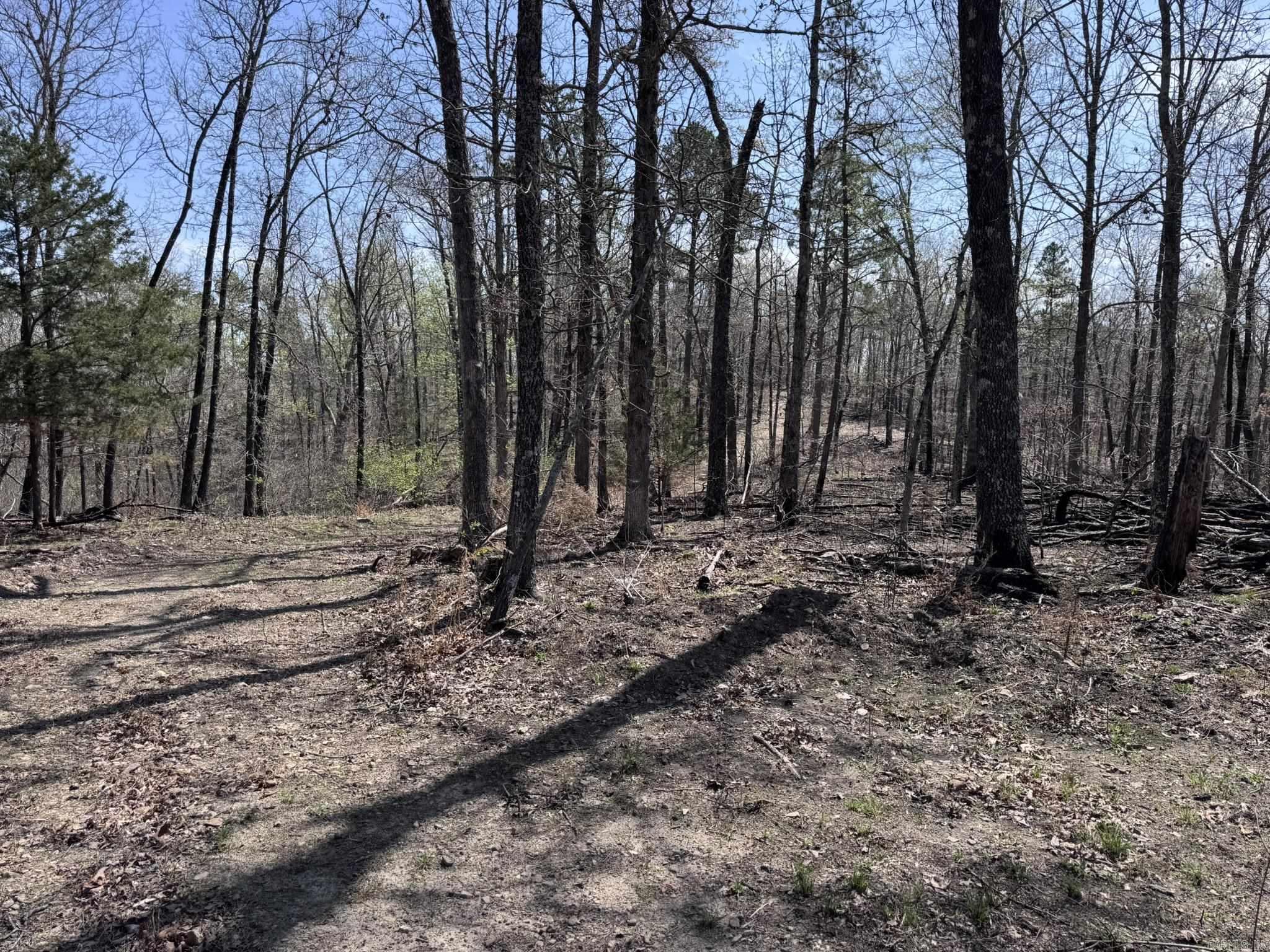 155A  Campground Road  Wideman, AR