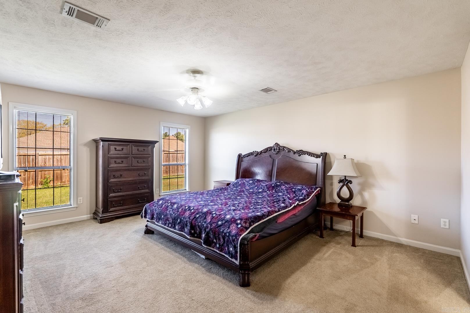 2960 Windamere Conway, AR 72034