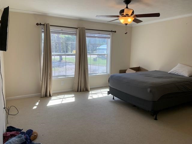 35  Walnut Ridge Drive  Elizabeth, AR