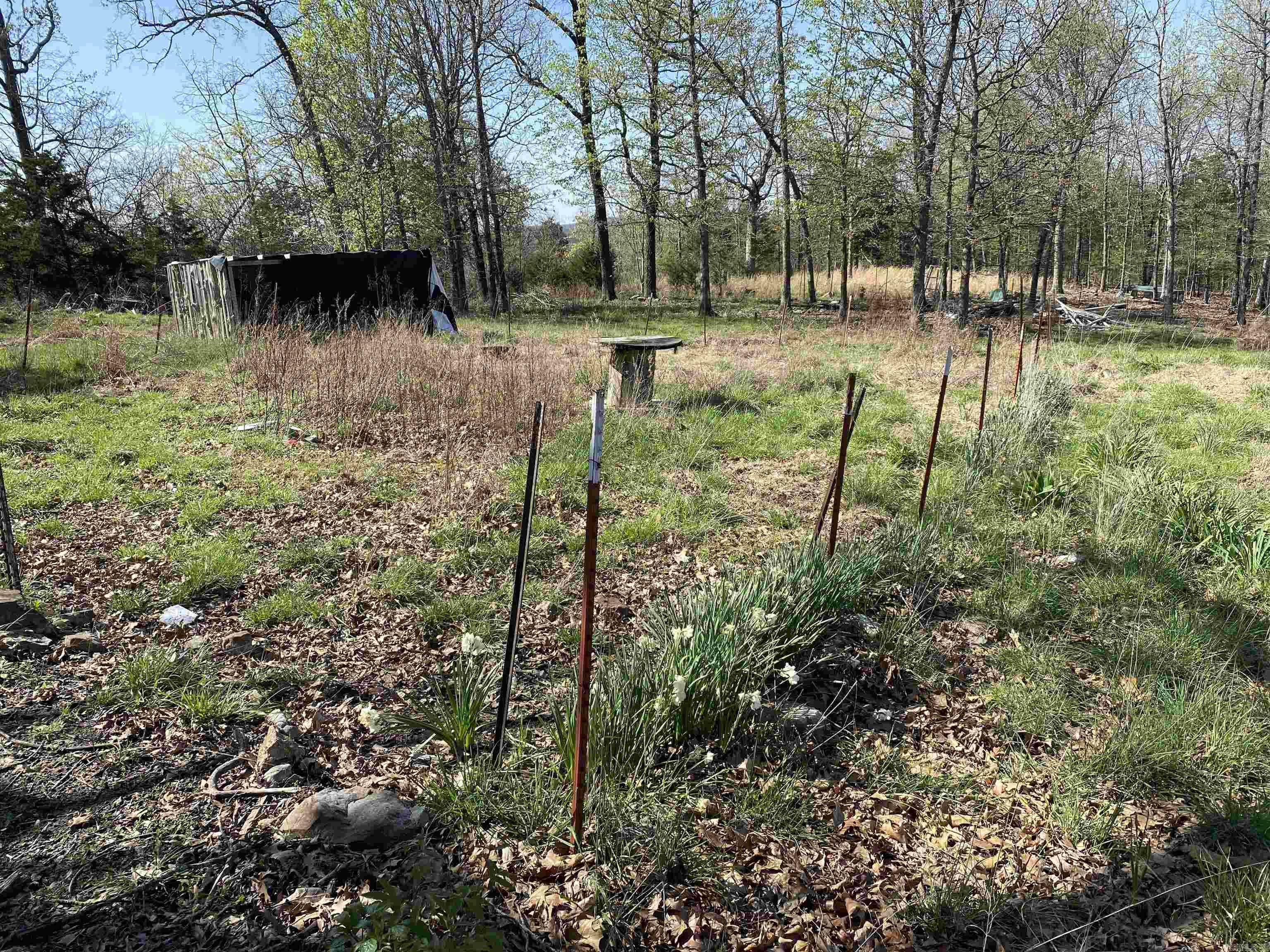 1494  MC 6007  Yellville, AR