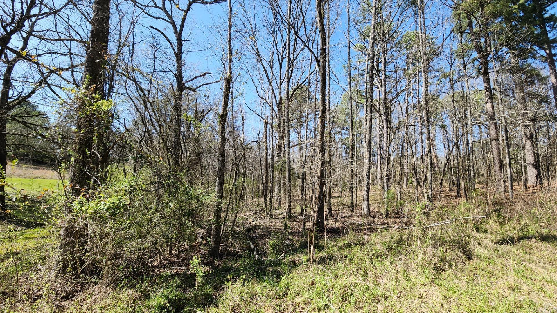 000 N Highway 7  North  Hot Springs, AR