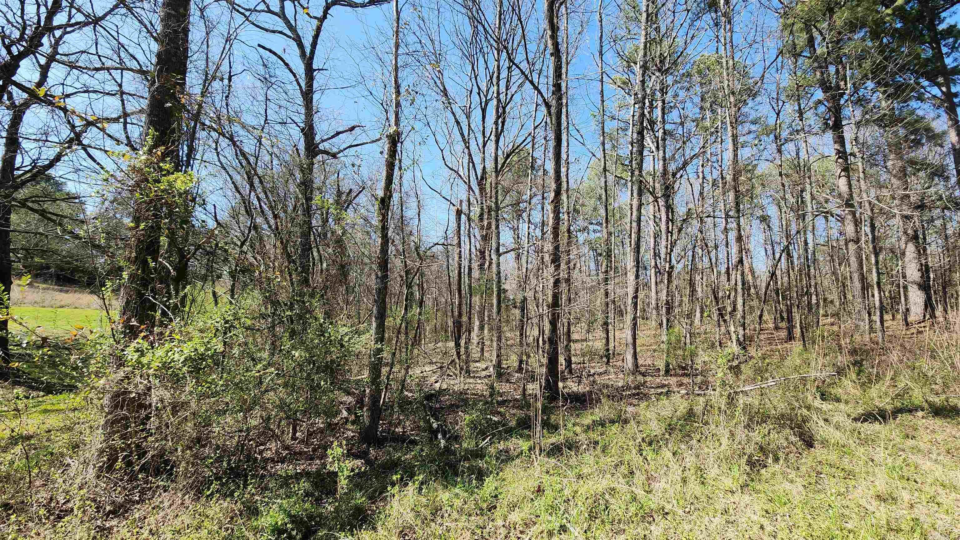 000 N Highway 7  North  Hot Springs, AR