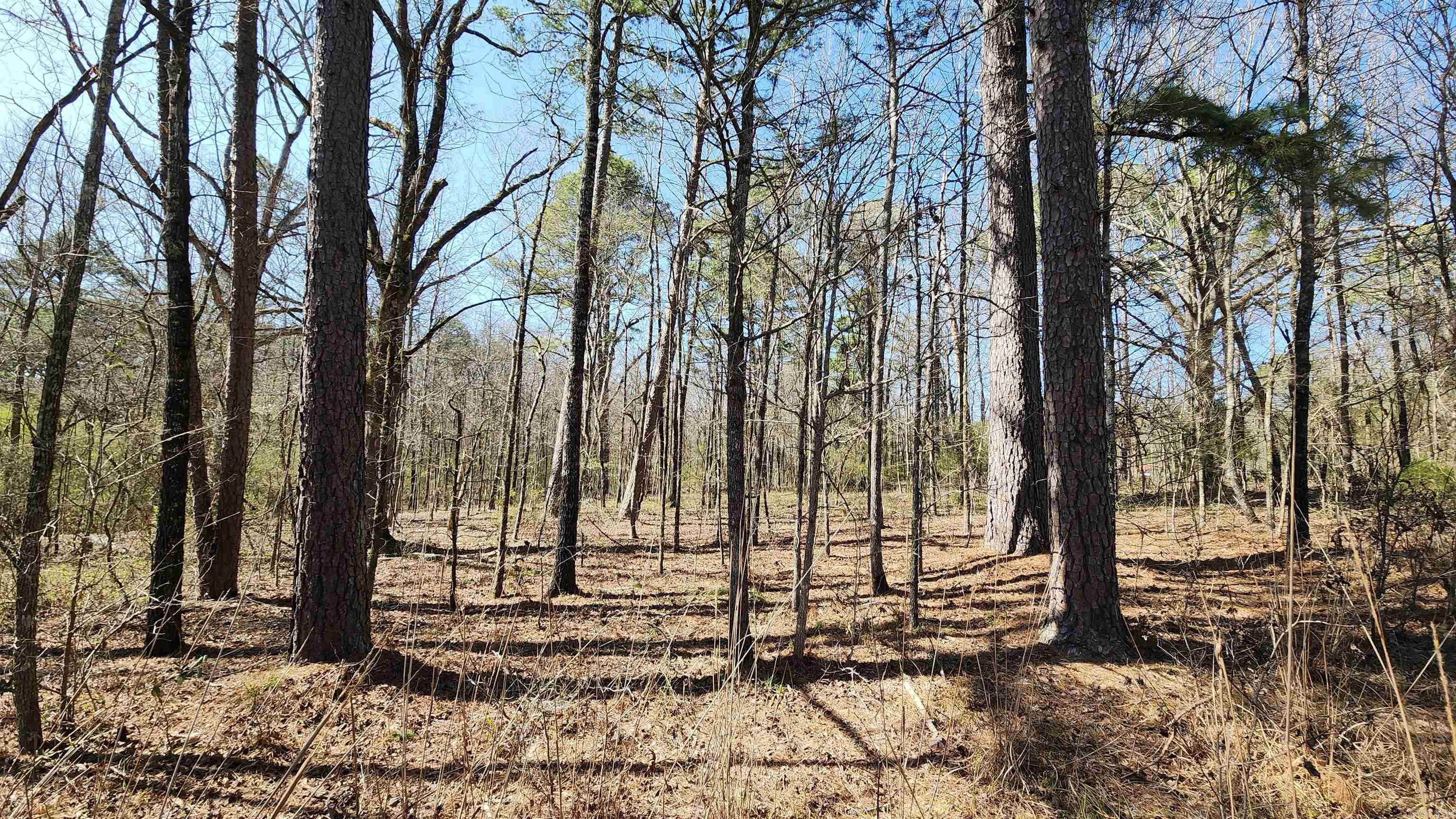 000 N Highway 7  North  Hot Springs, AR