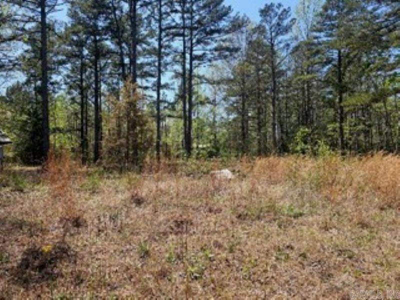45  Black Lane  Higden, AR