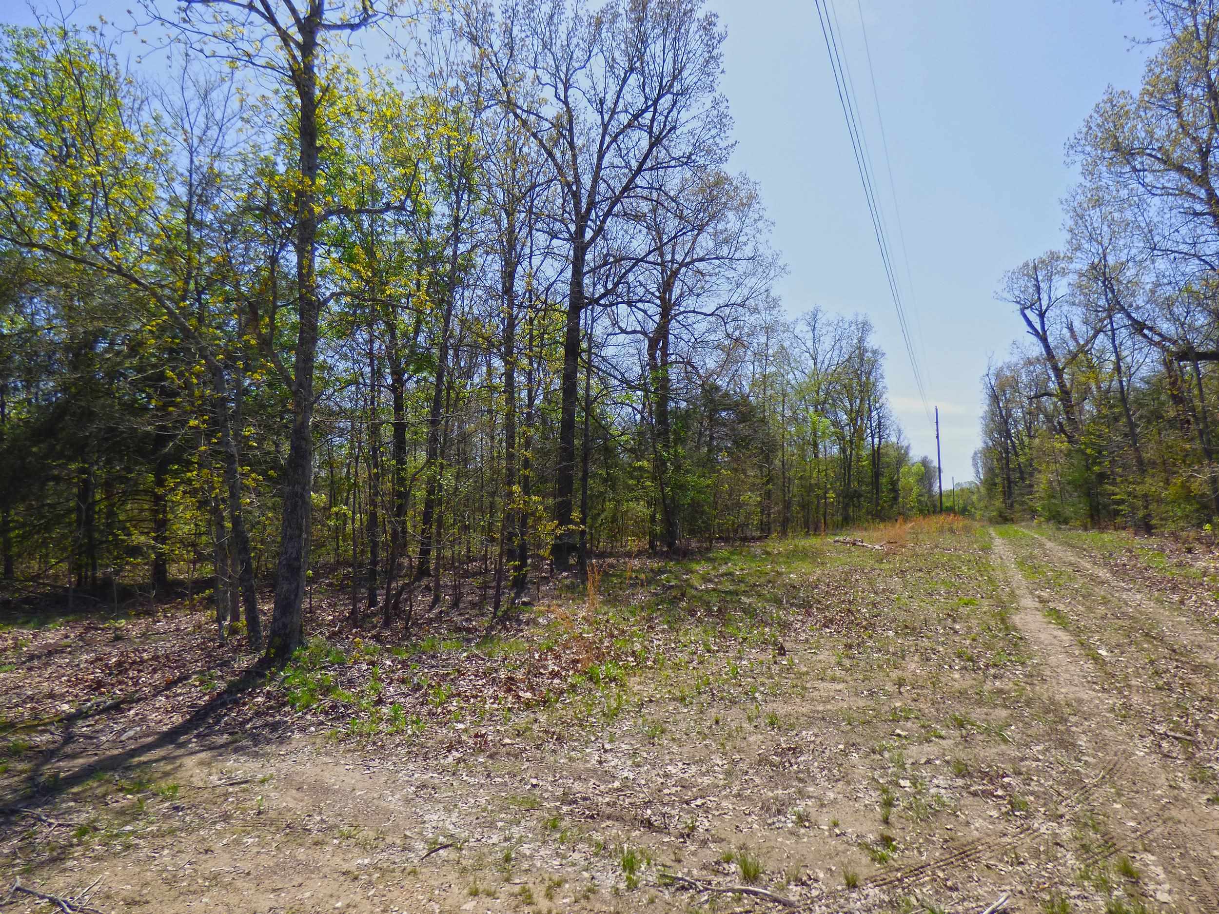   US Hwy 63  Ravenden, AR