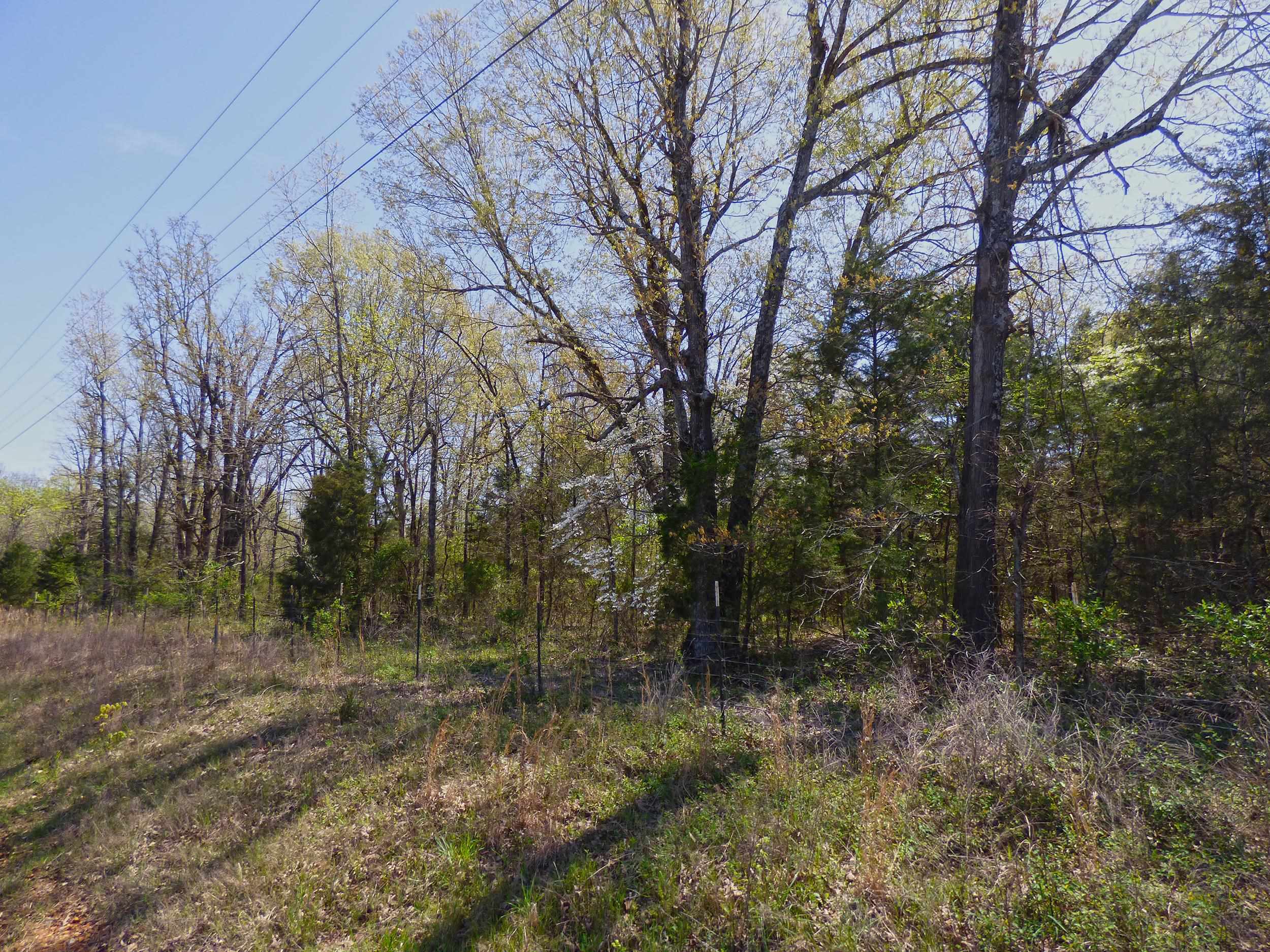   US Hwy 63  Ravenden, AR