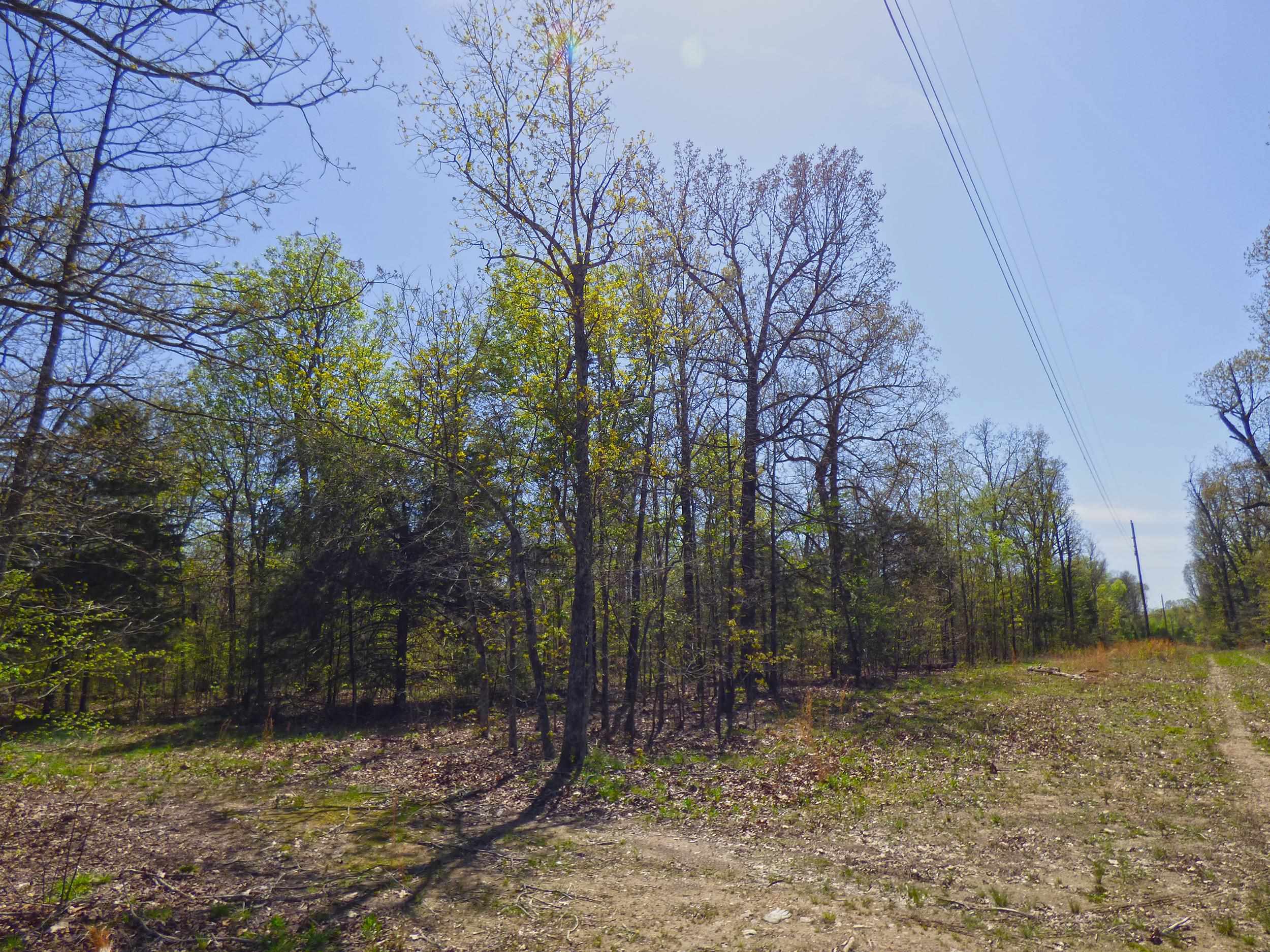   US Hwy 63  Ravenden, AR