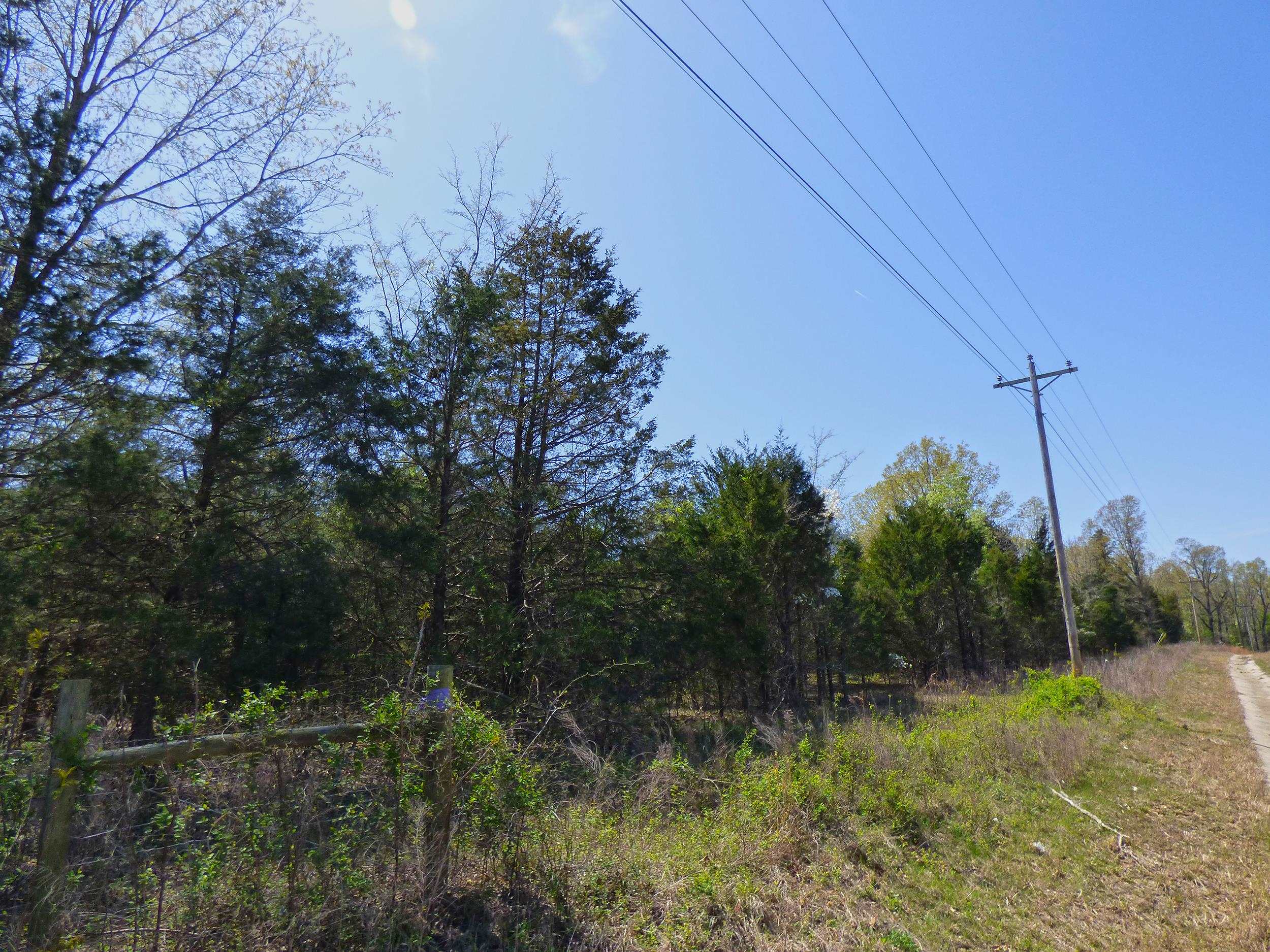   US Hwy 63  Ravenden, AR