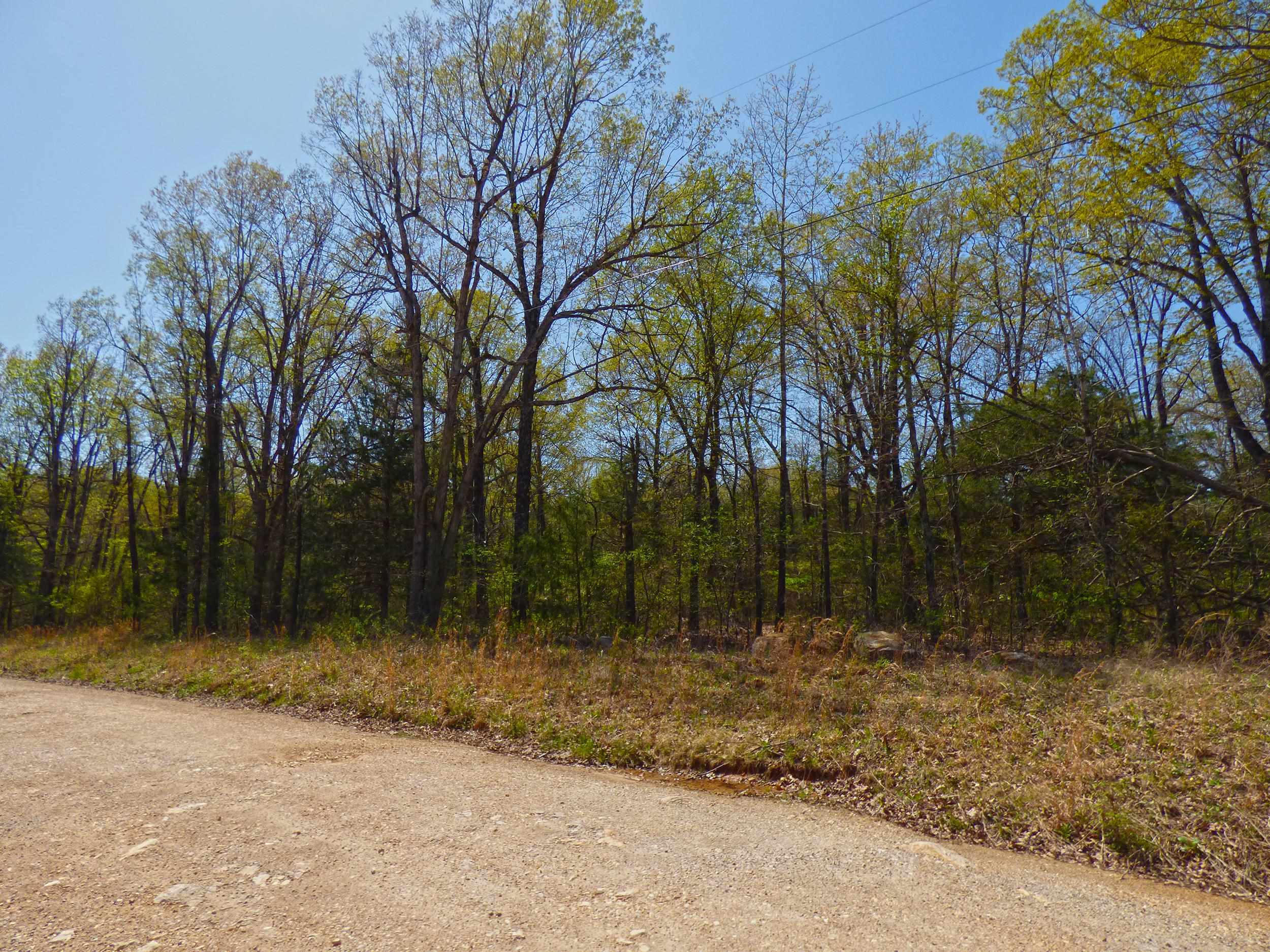   US Hwy 63  Ravenden, AR