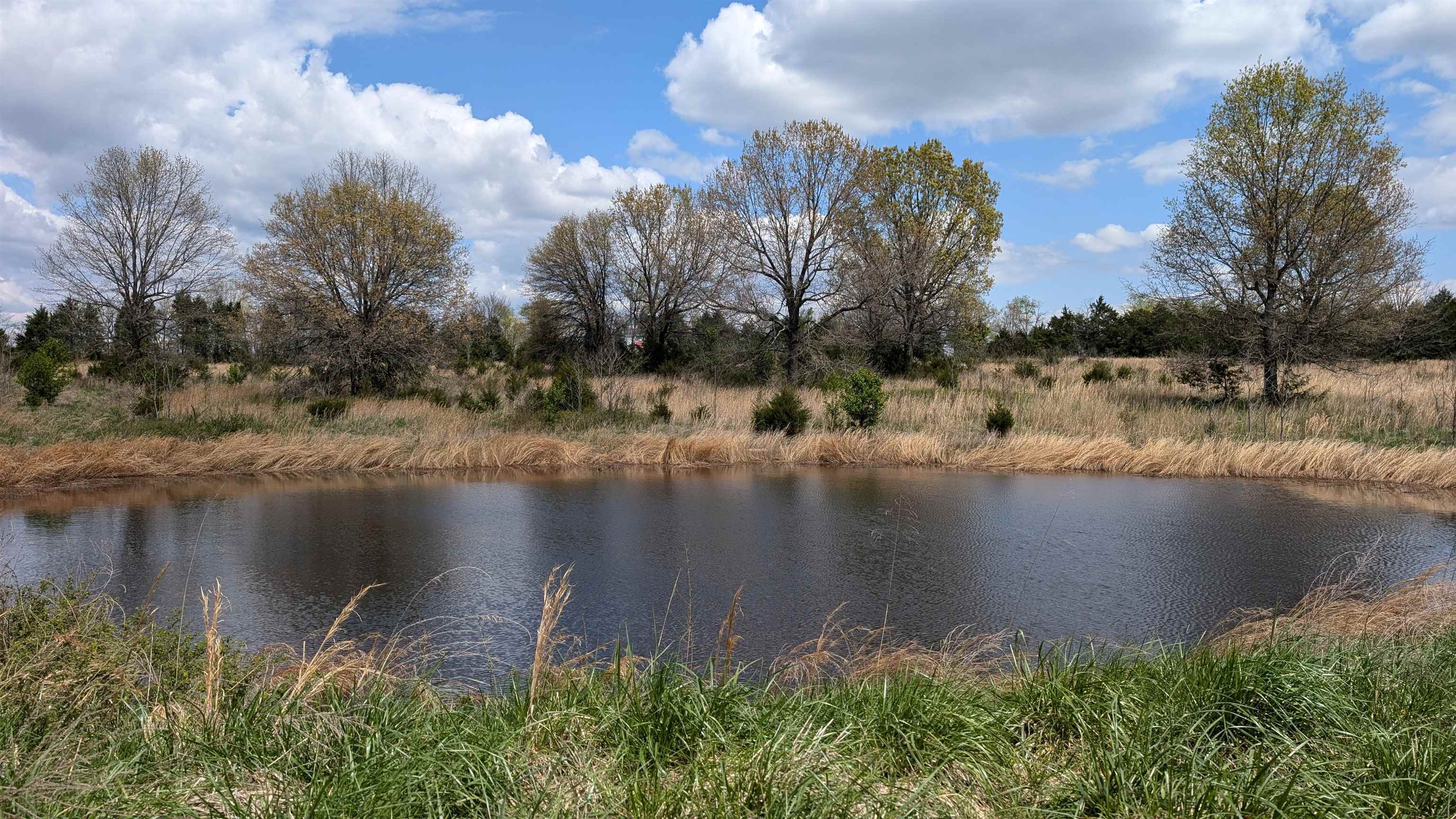   56  Ash Flat, AR