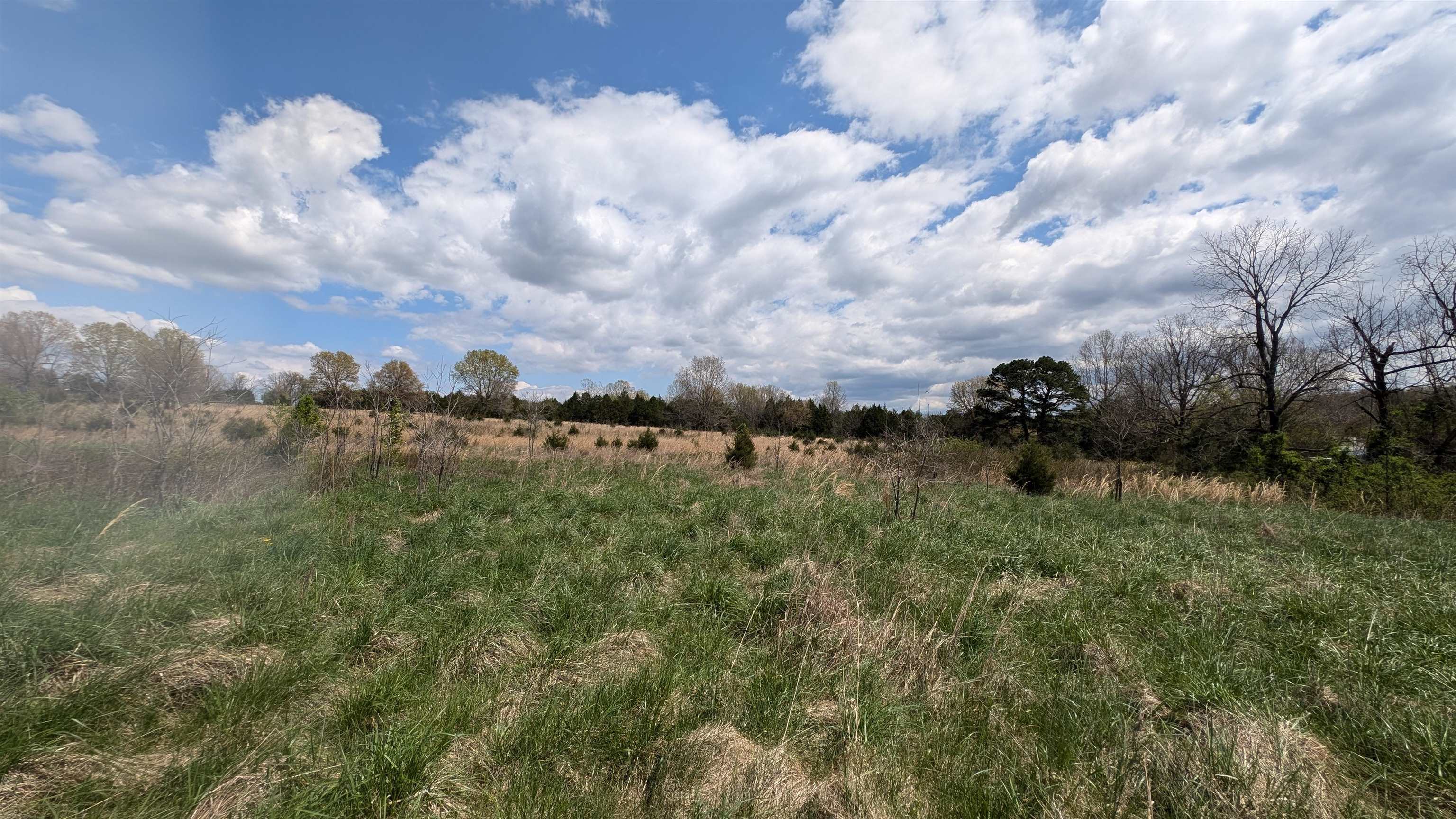   56  Ash Flat, AR