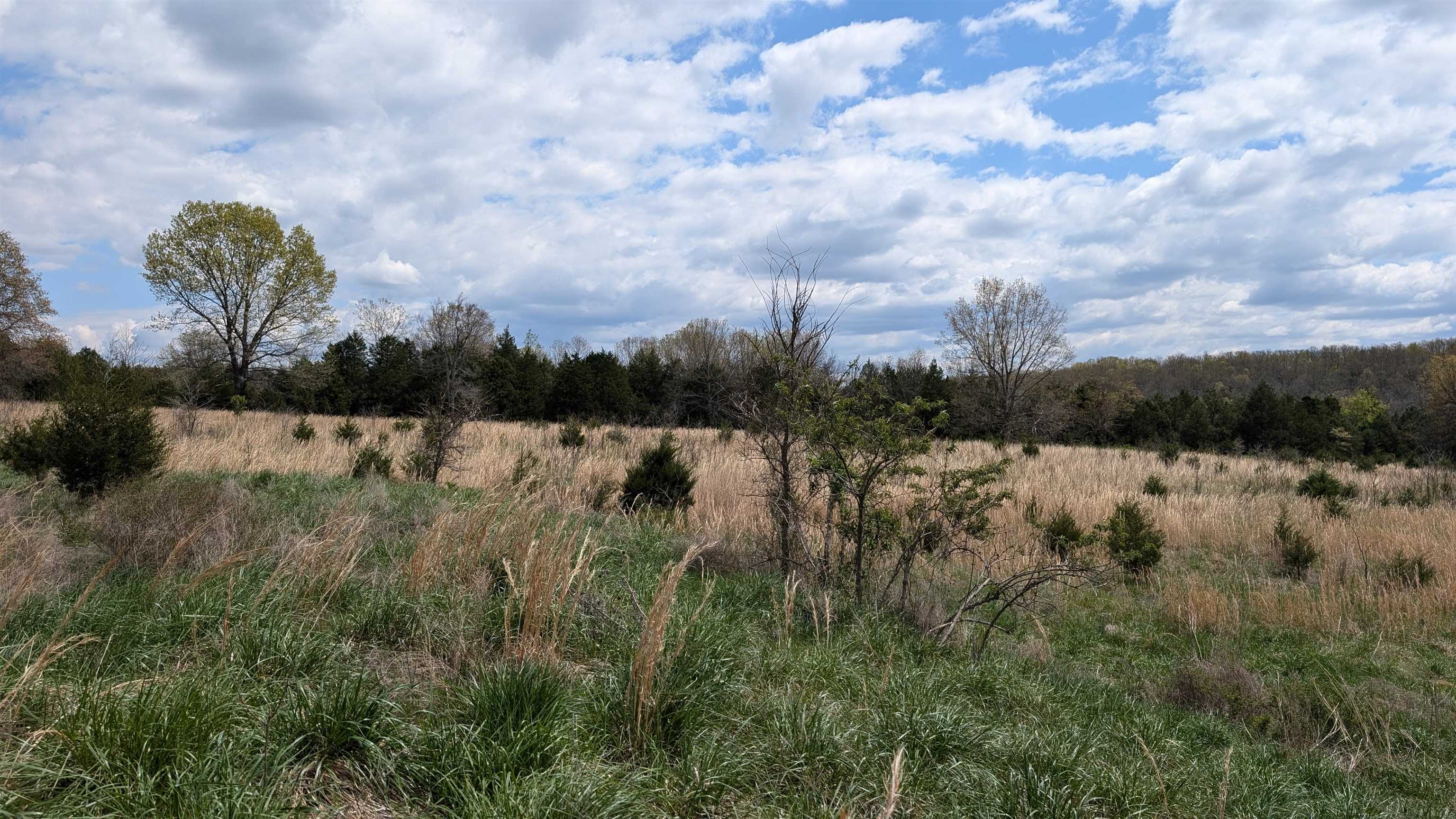   56  Ash Flat, AR