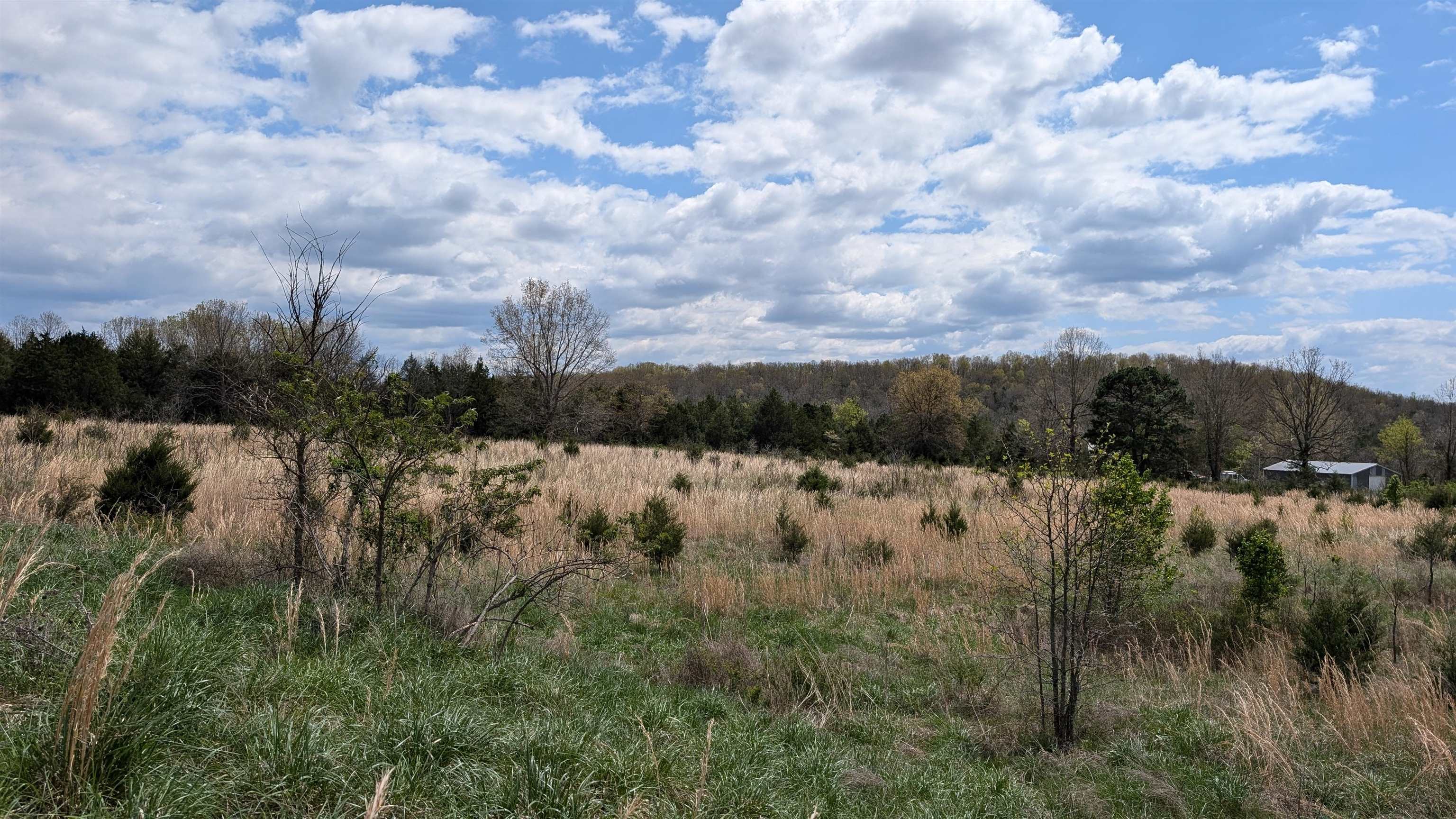   56  Ash Flat, AR