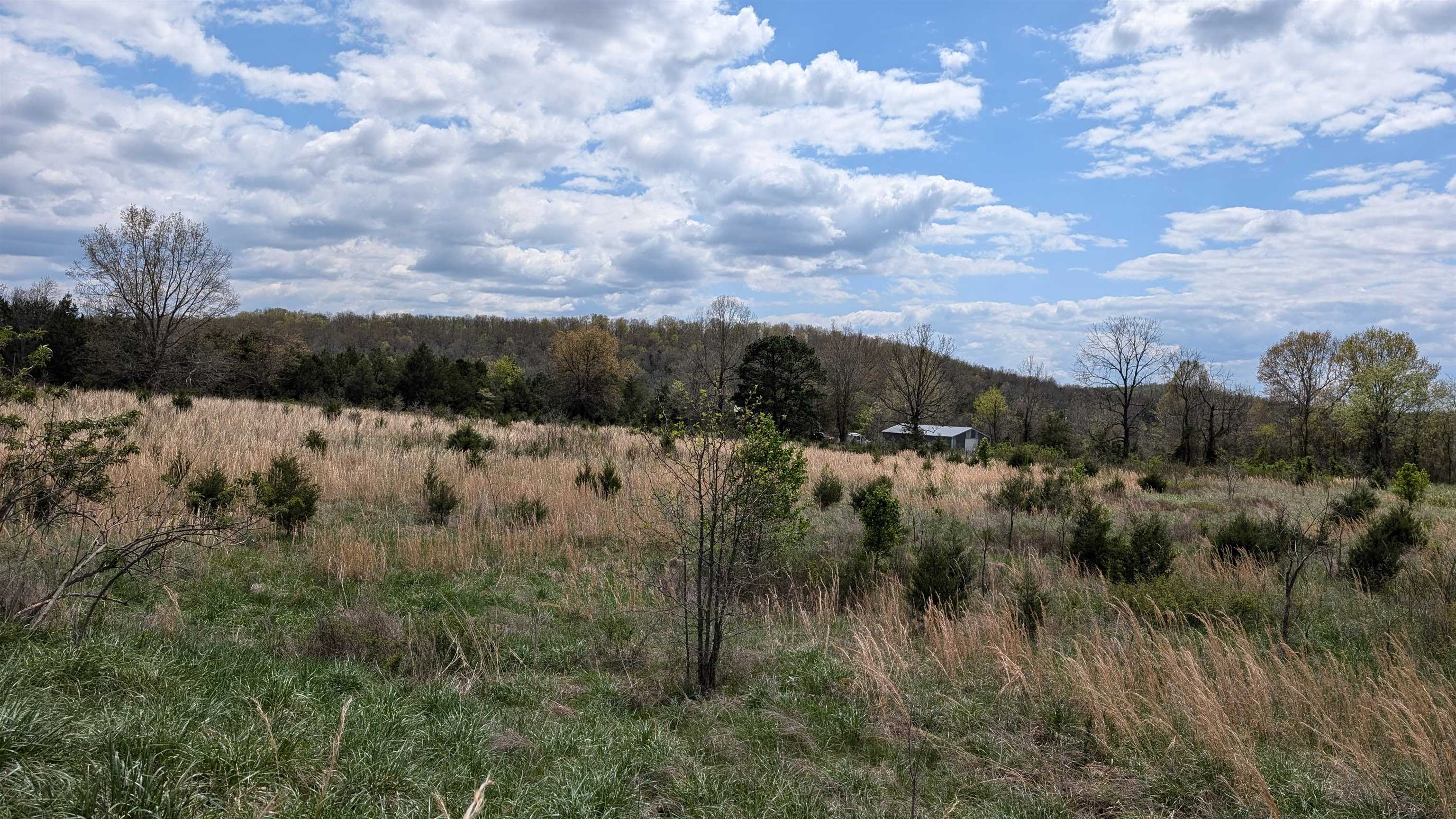   56  Ash Flat, AR