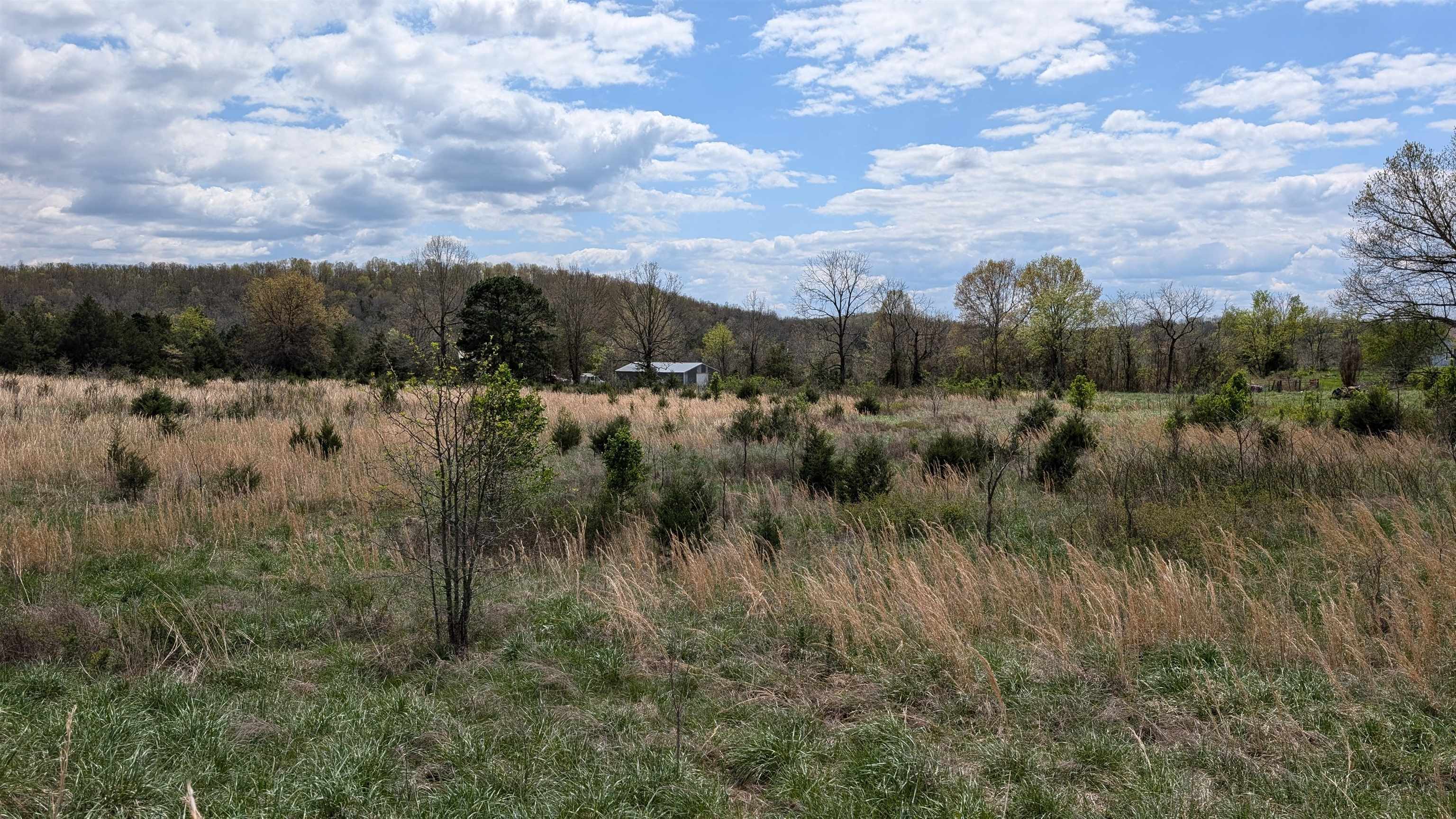   56  Ash Flat, AR