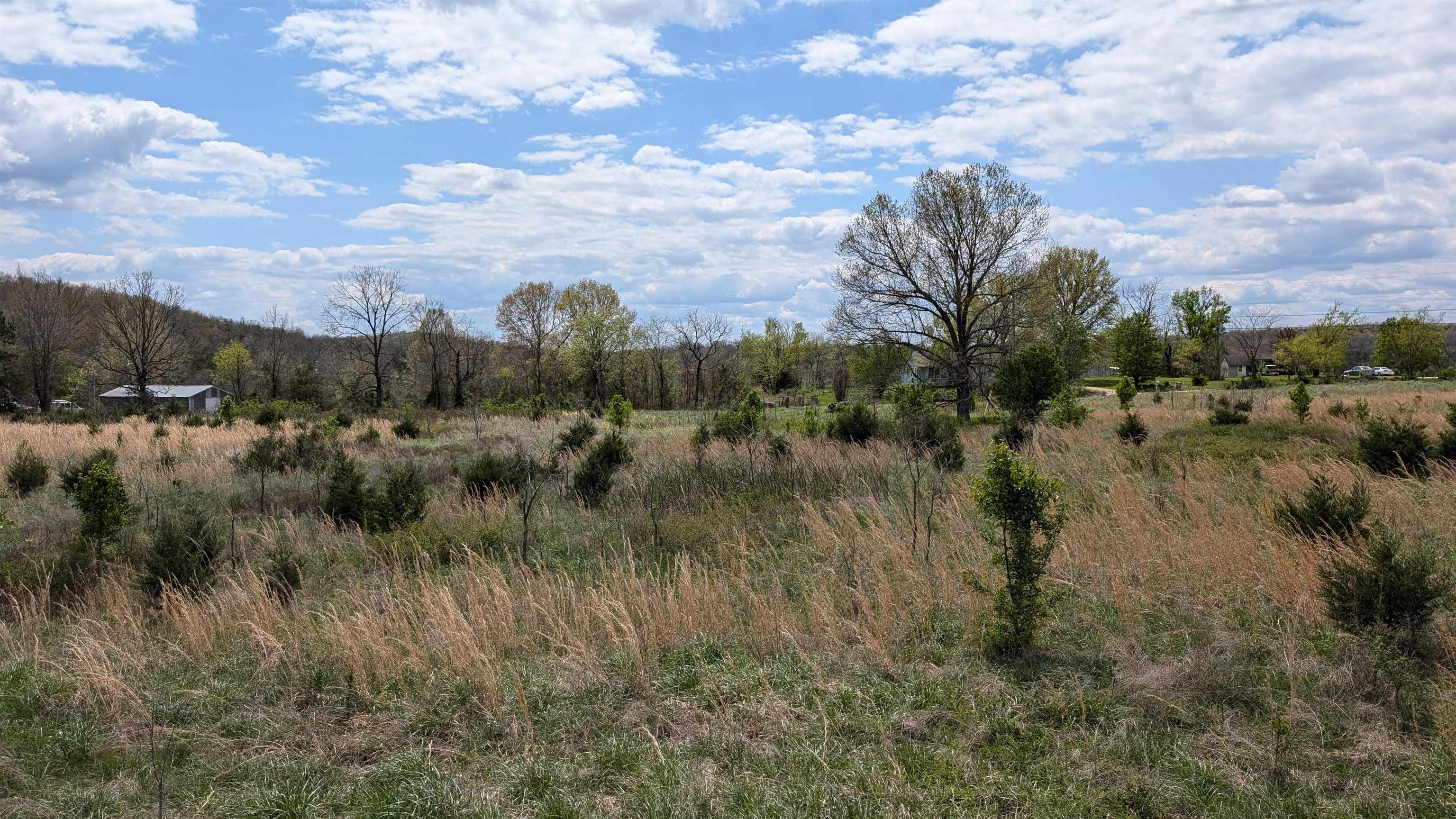   56  Ash Flat, AR