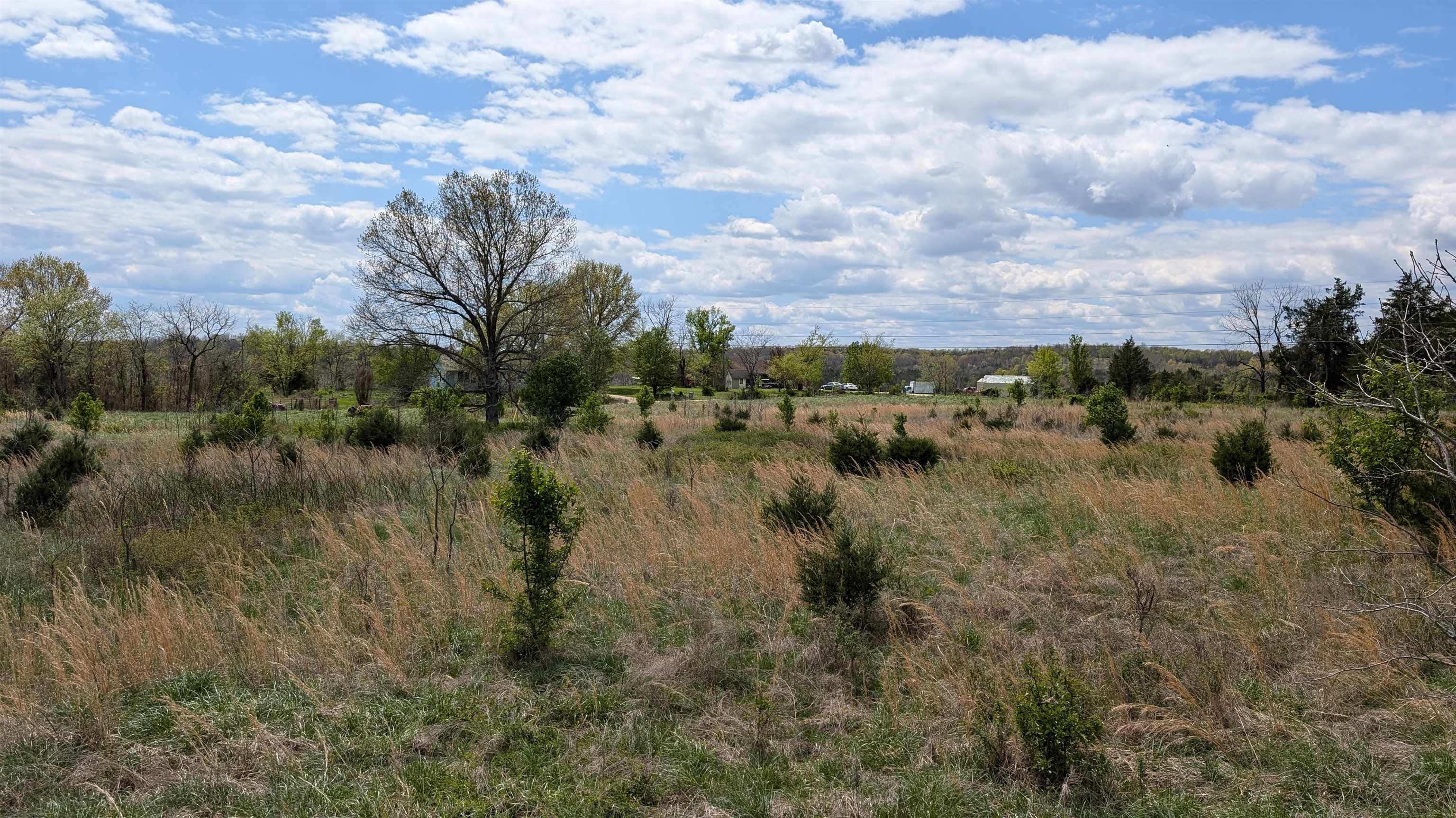   56  Ash Flat, AR