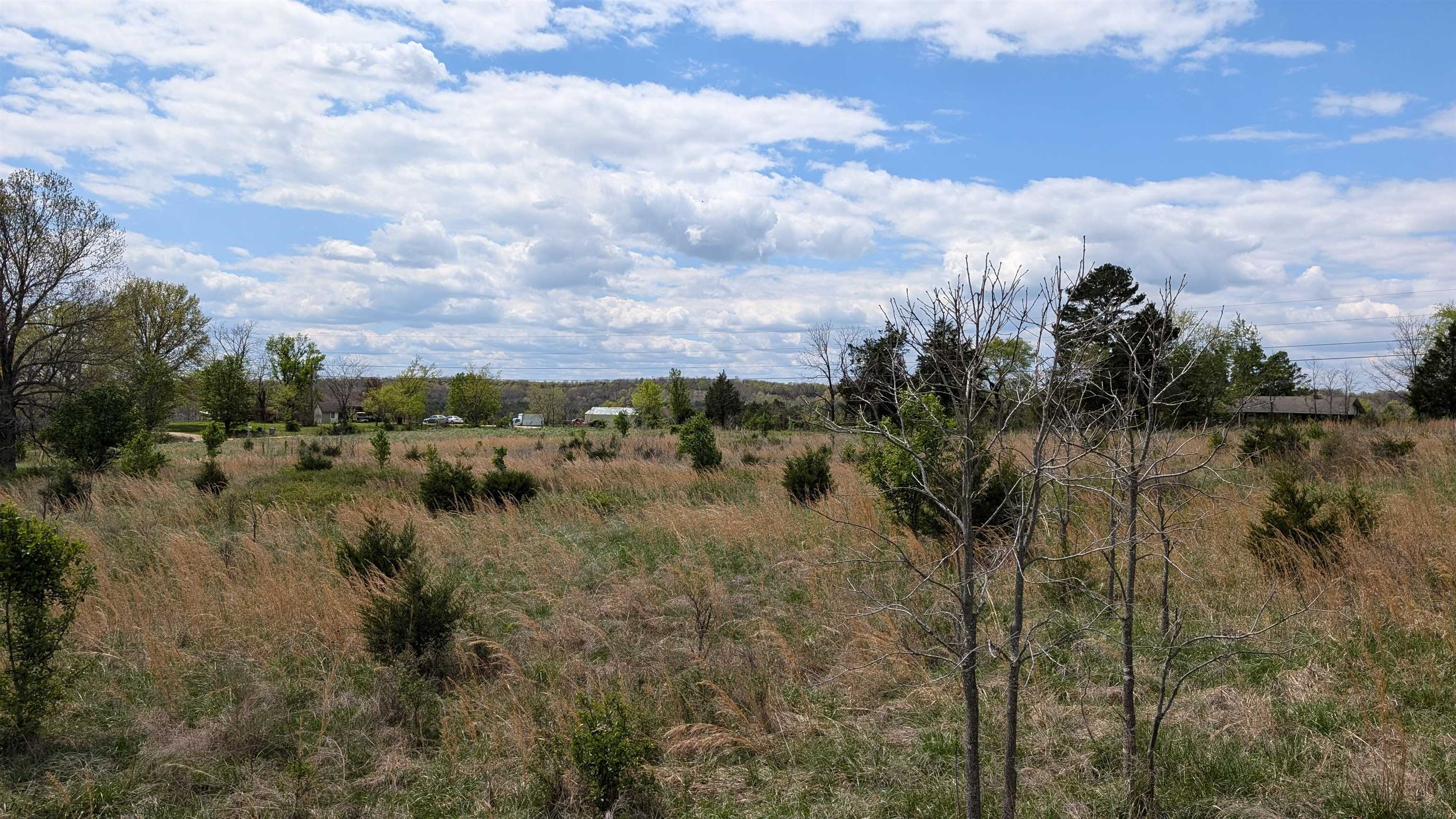   56  Ash Flat, AR