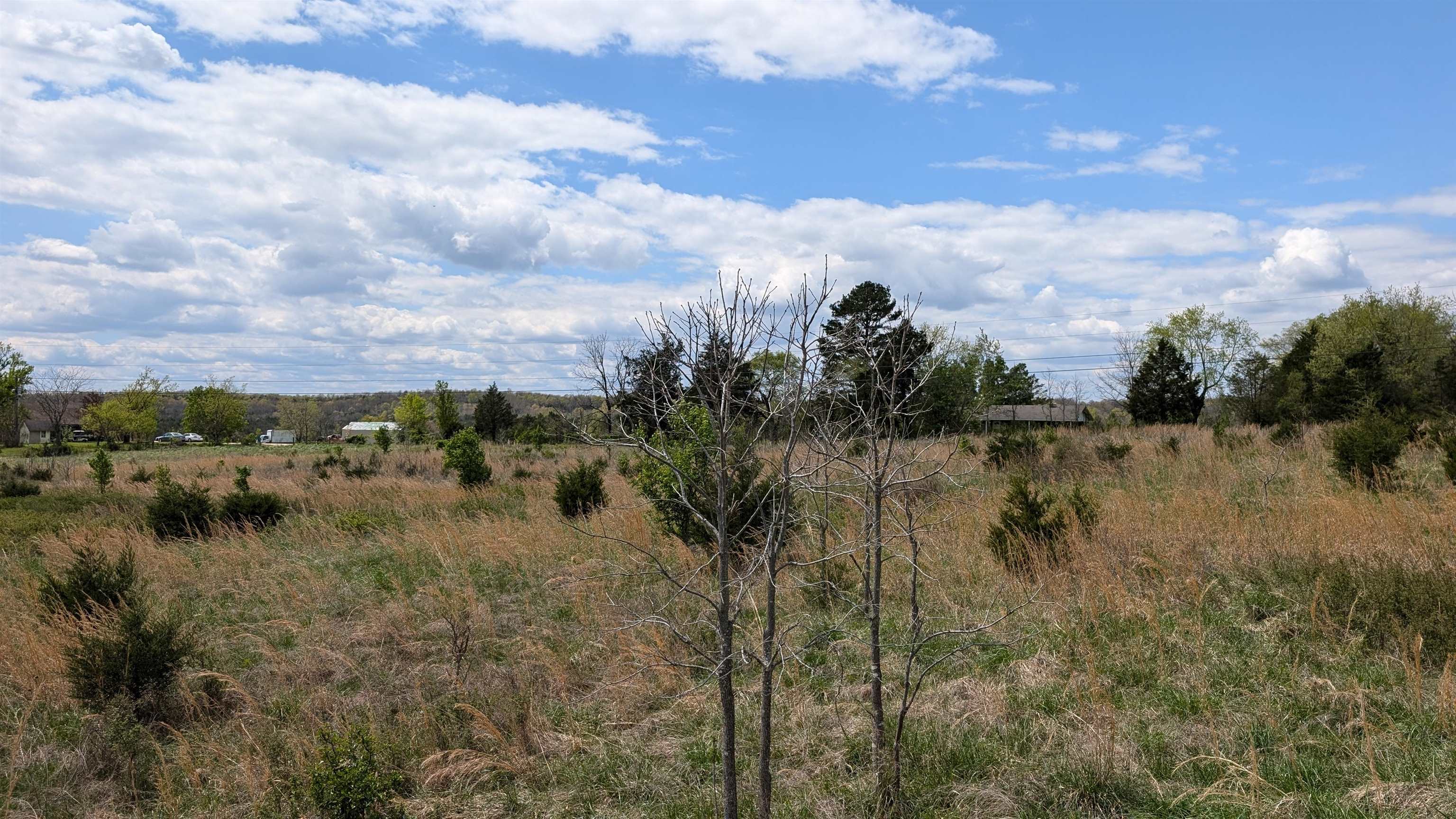   56  Ash Flat, AR