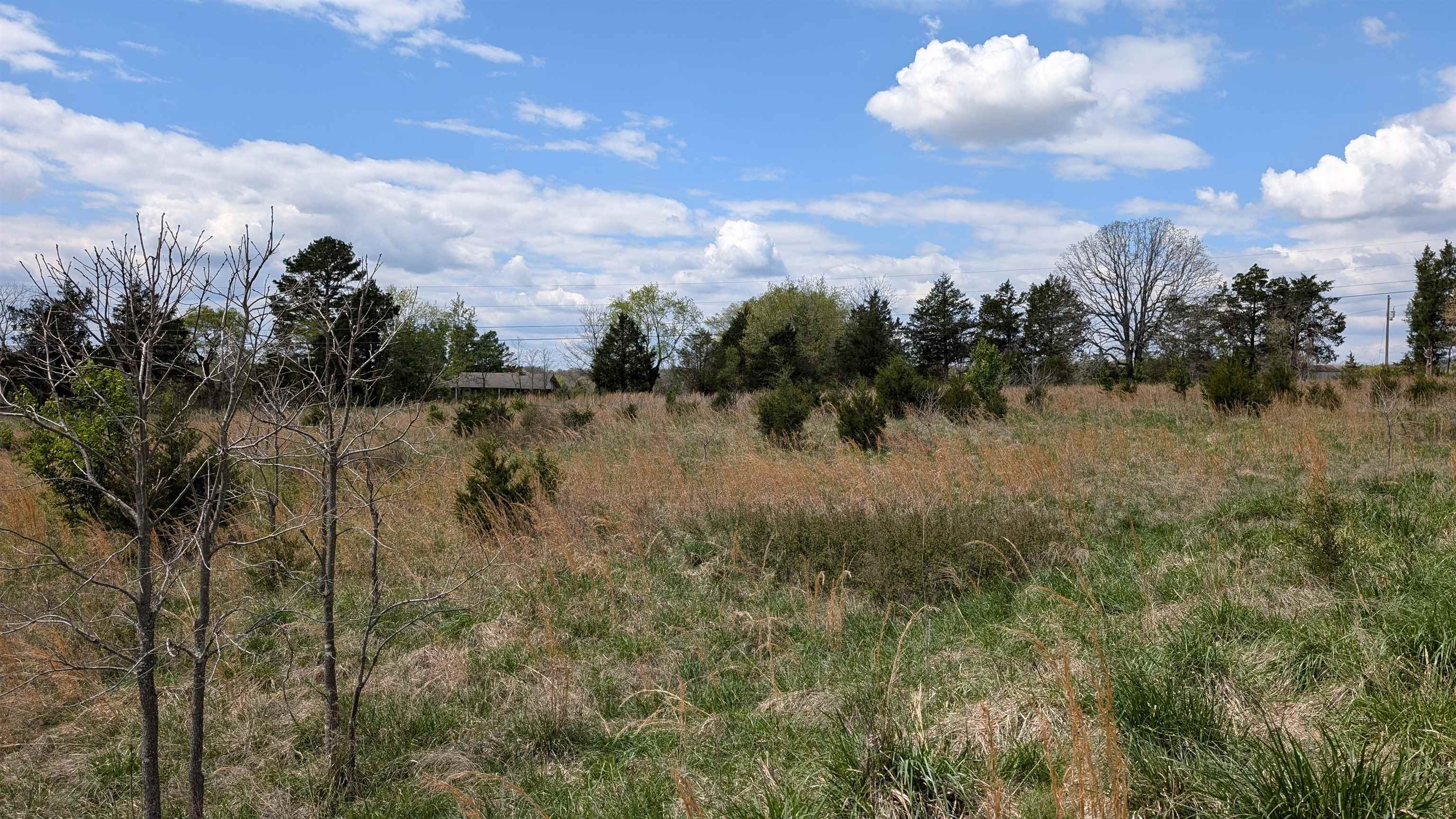   56  Ash Flat, AR