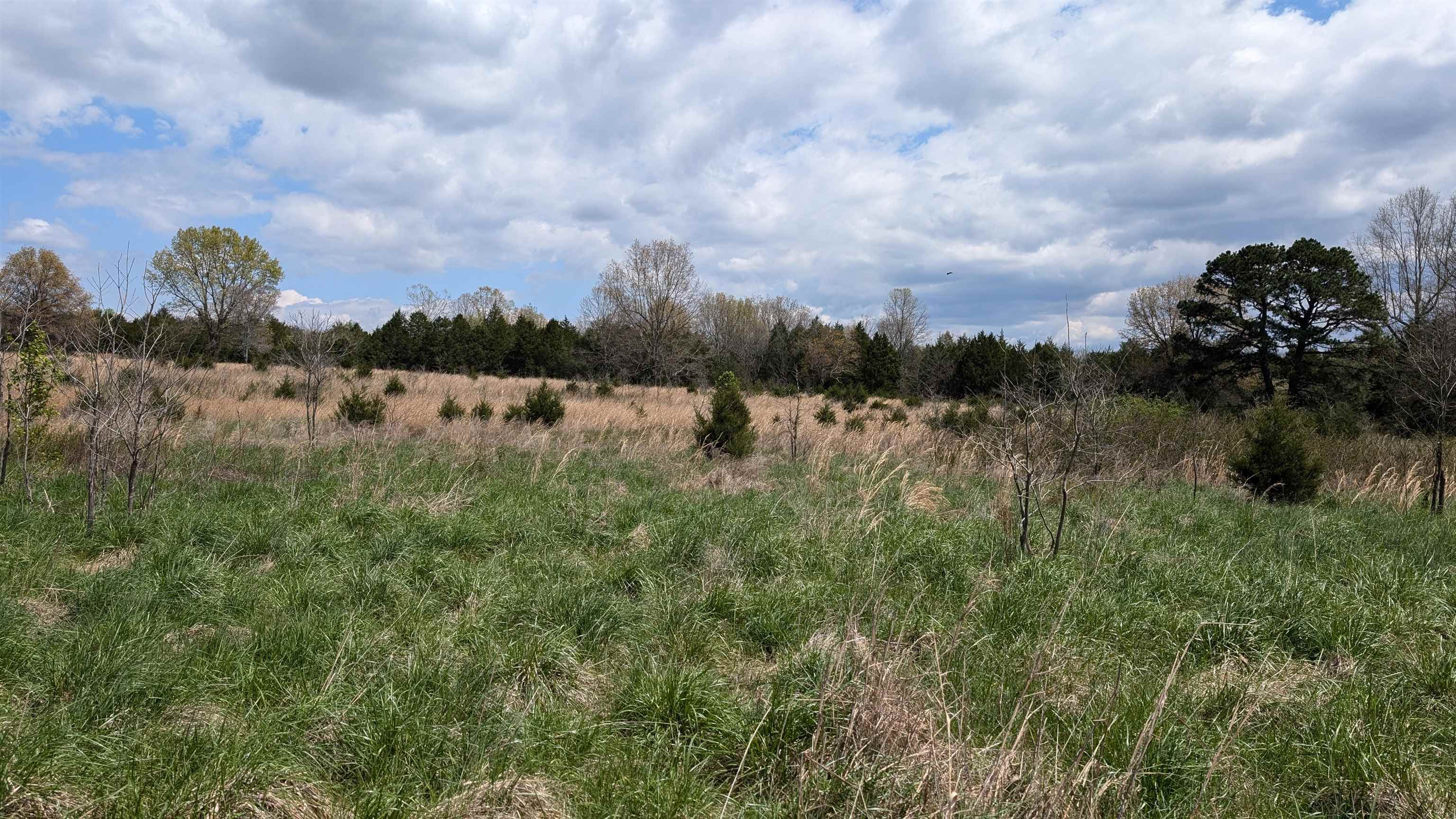   56  Ash Flat, AR