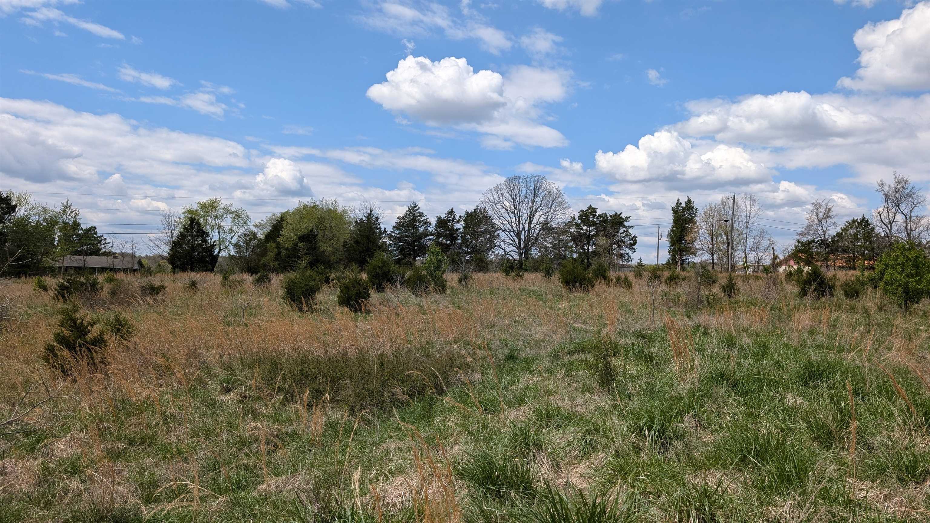   56  Ash Flat, AR