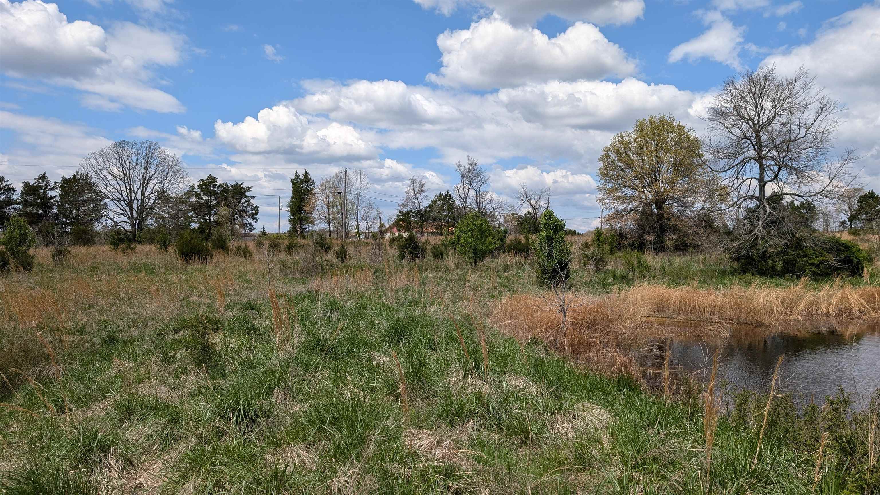   56  Ash Flat, AR