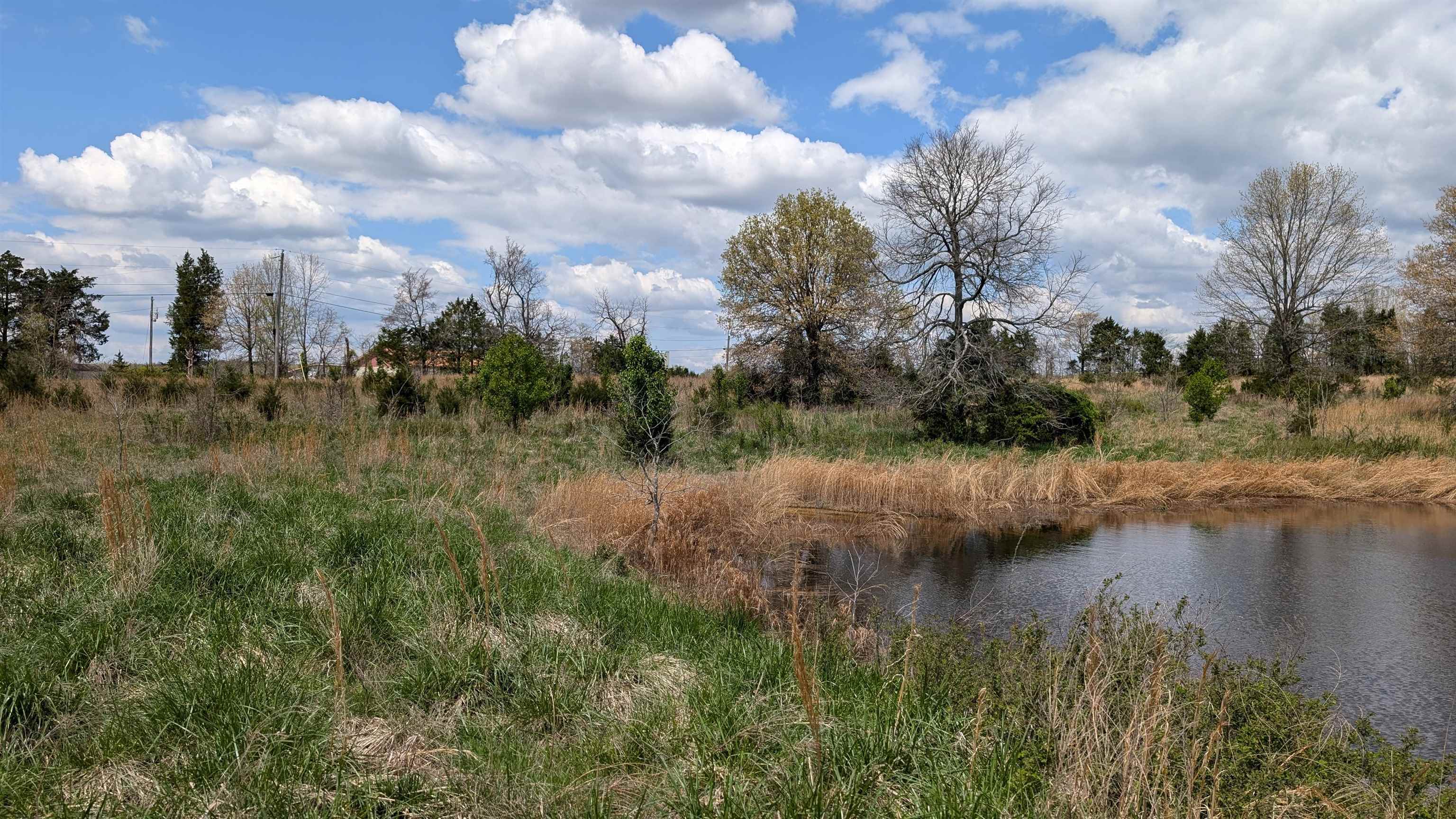   56  Ash Flat, AR