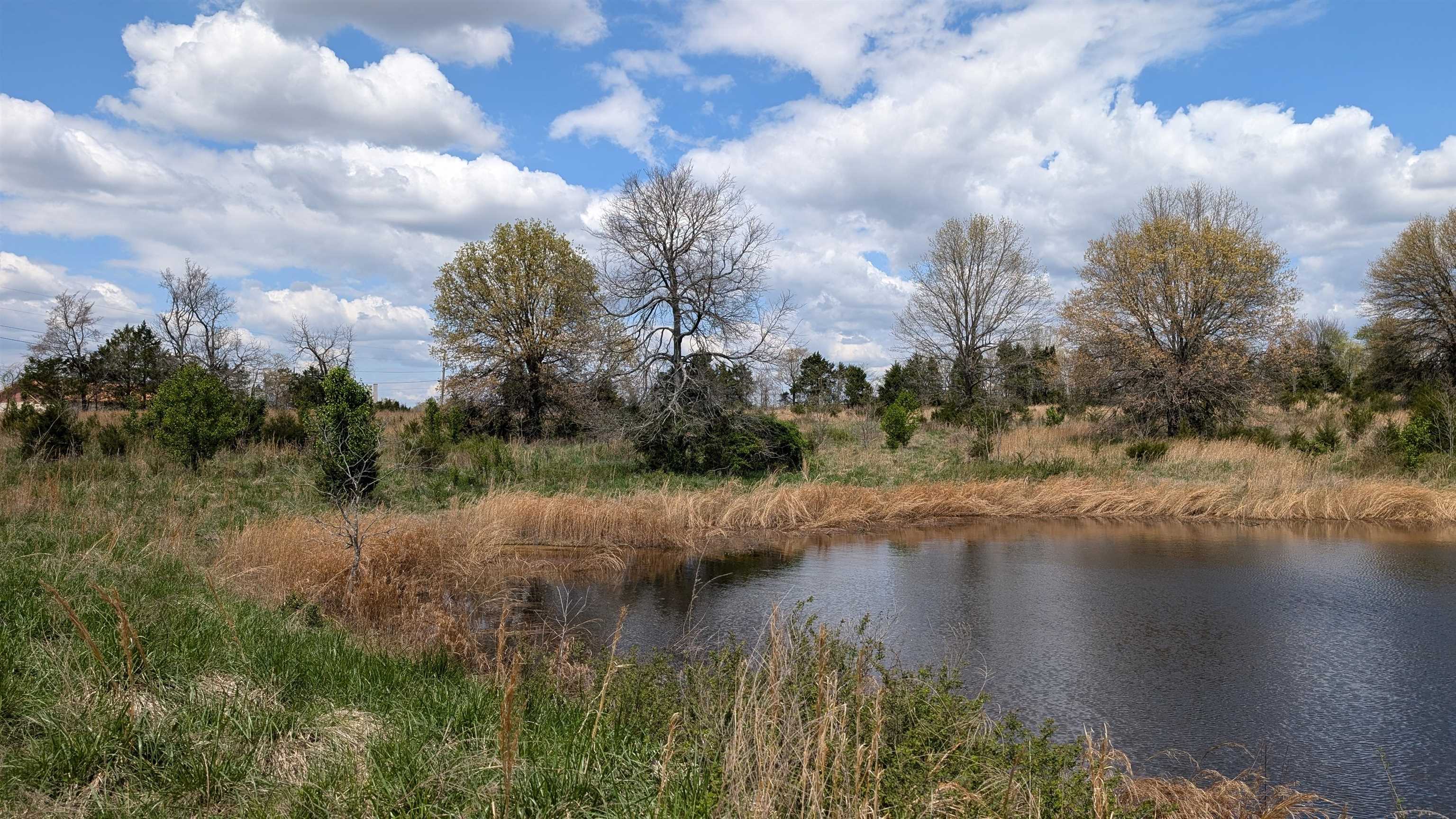   56  Ash Flat, AR