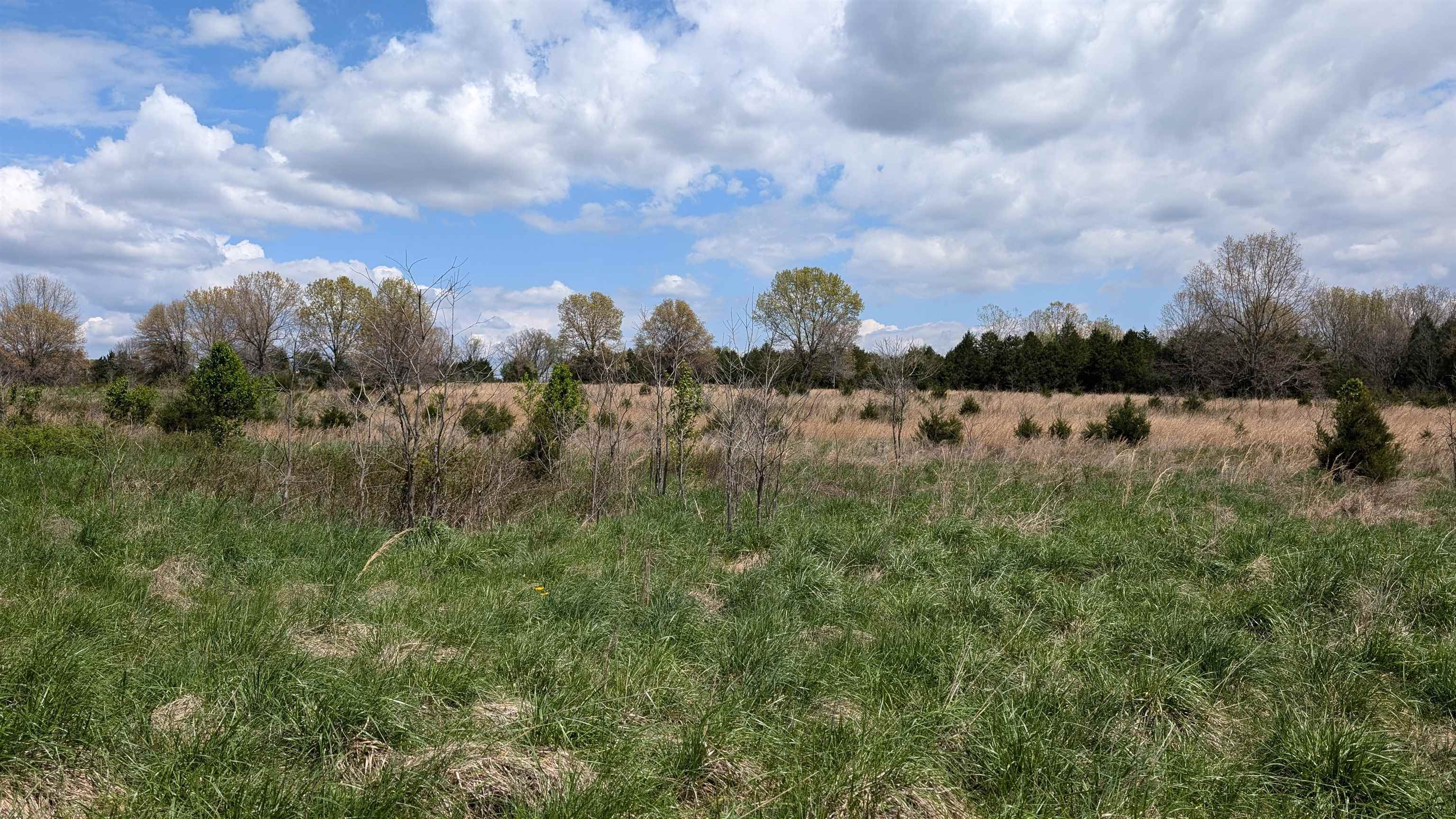   56  Ash Flat, AR