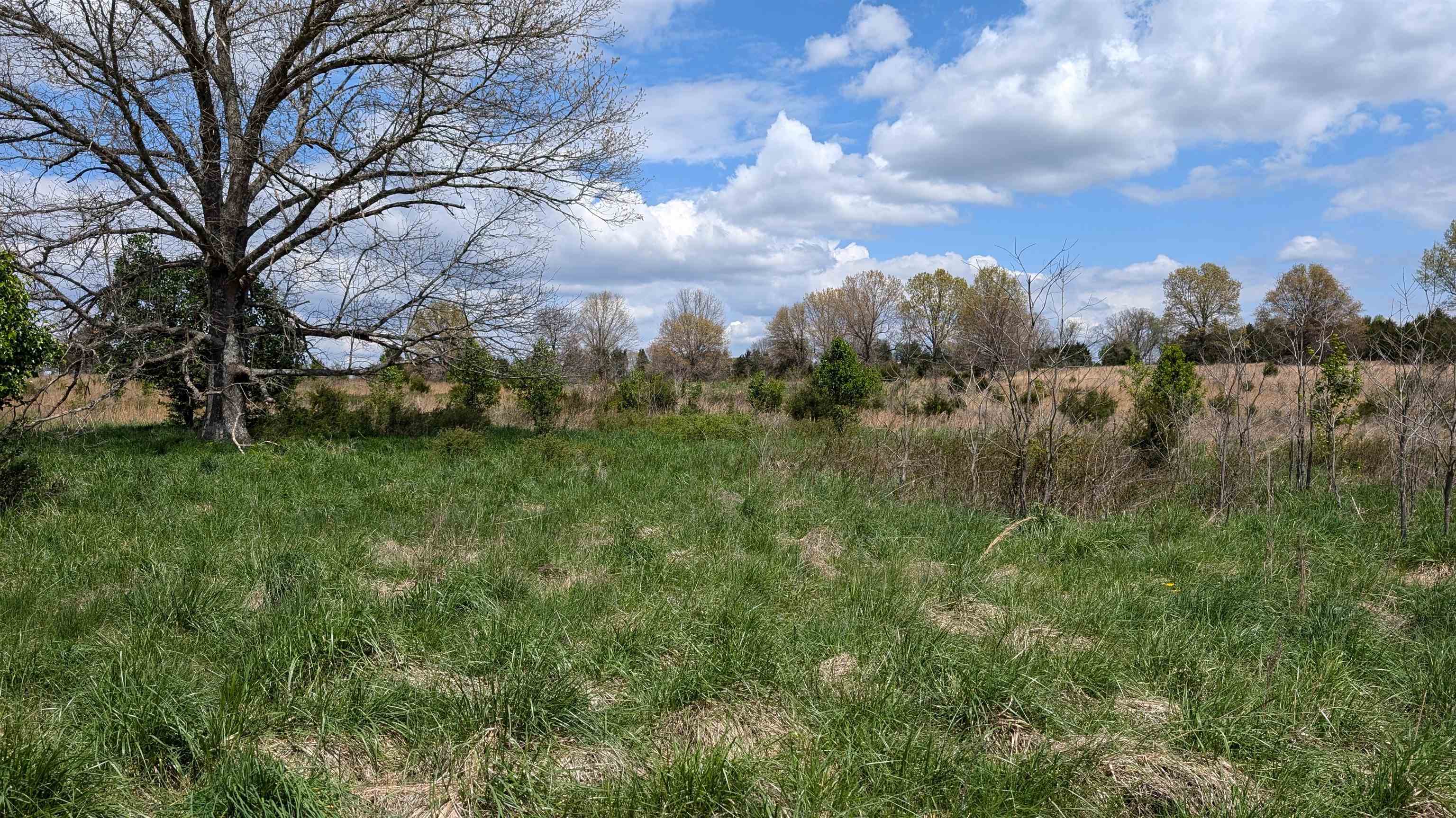   56  Ash Flat, AR