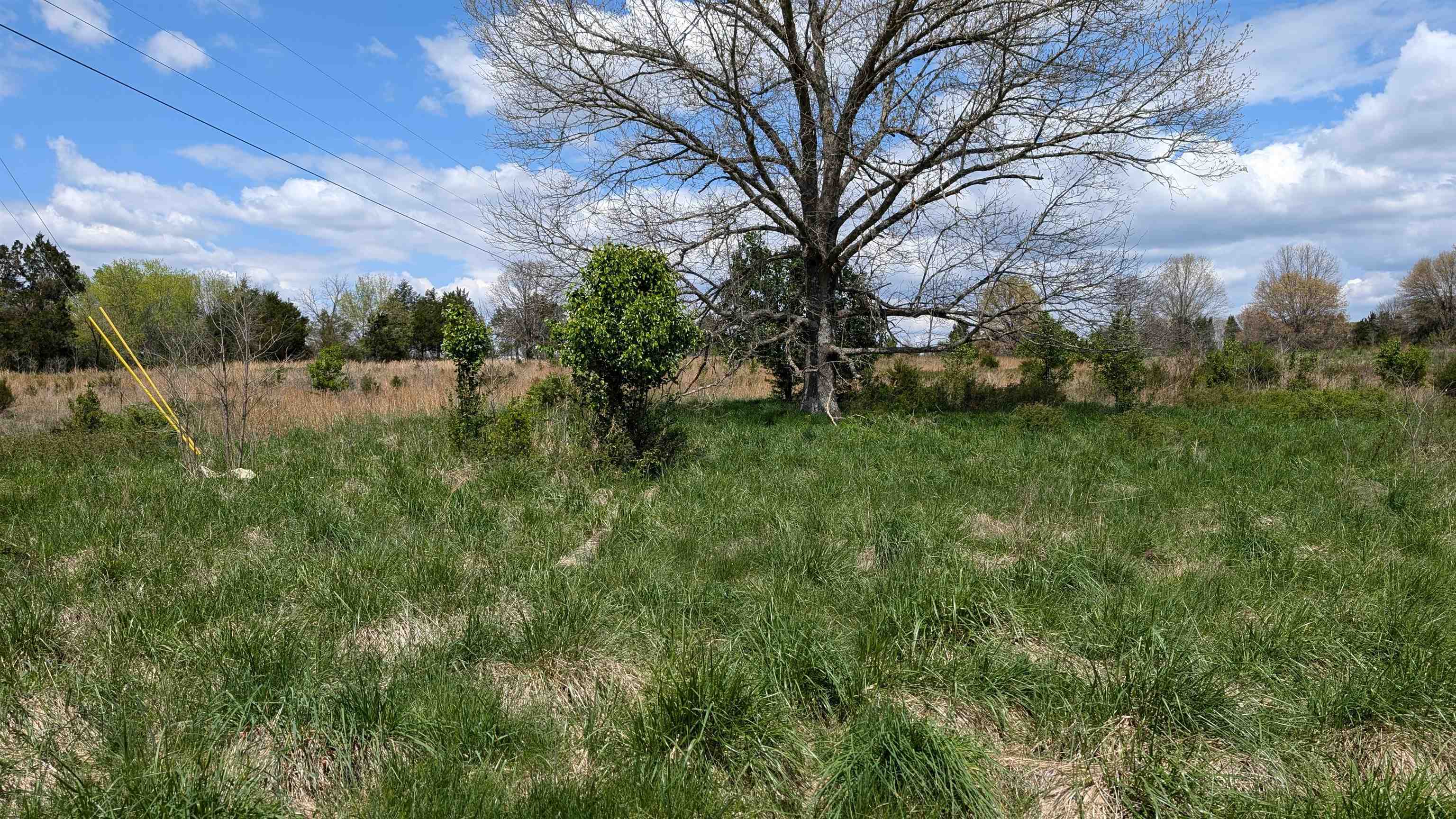   56  Ash Flat, AR