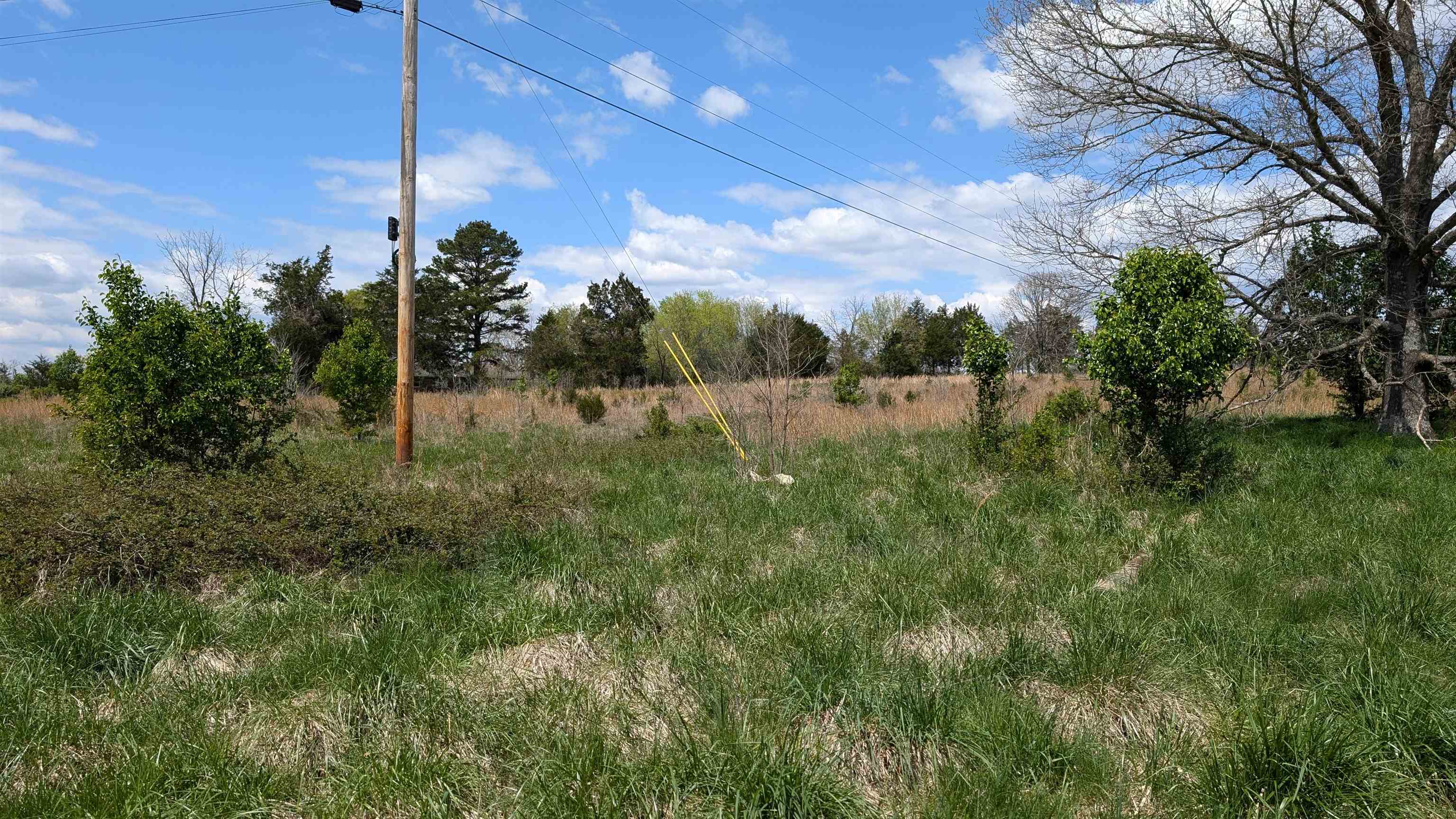   56  Ash Flat, AR