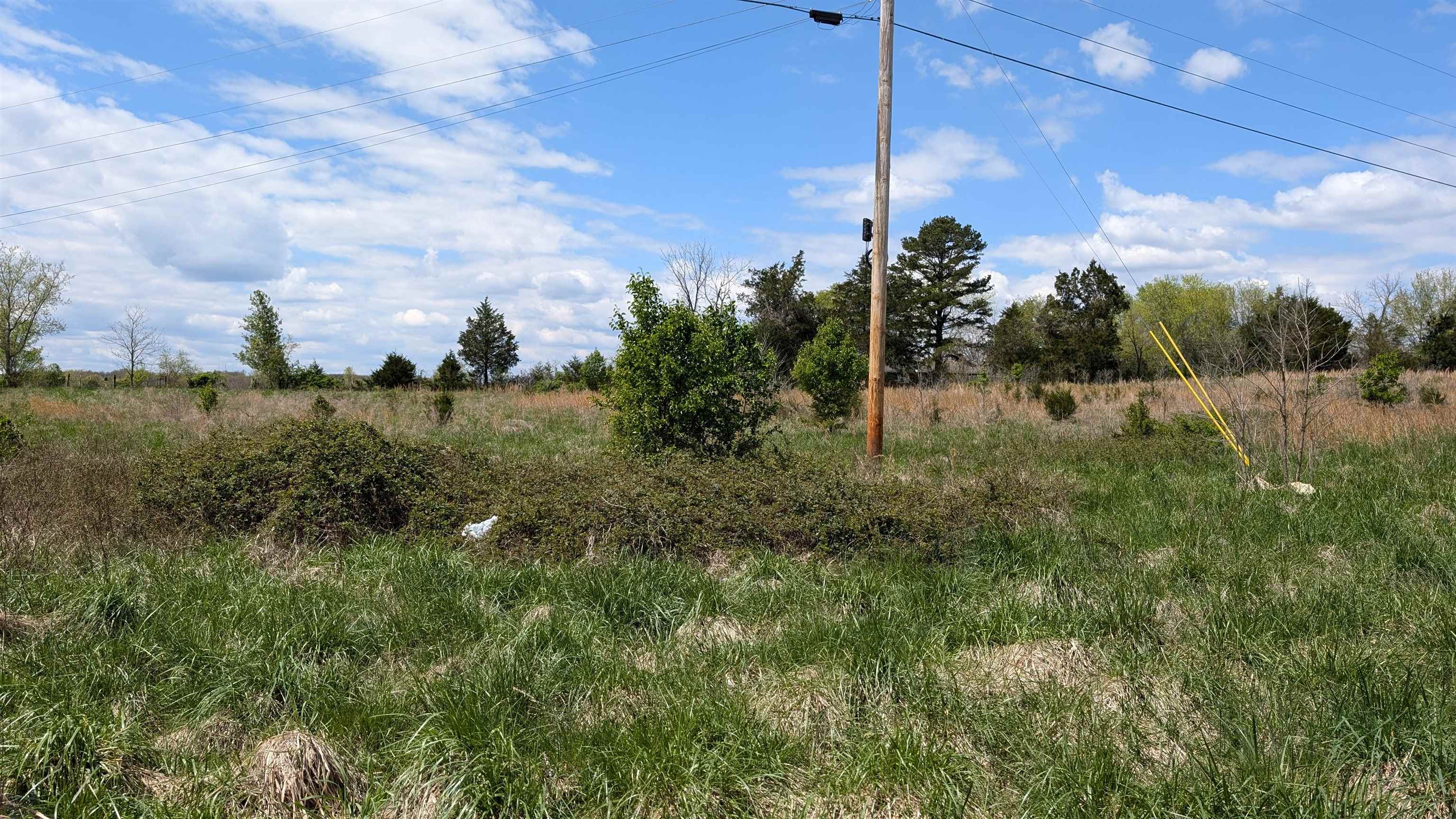   56  Ash Flat, AR