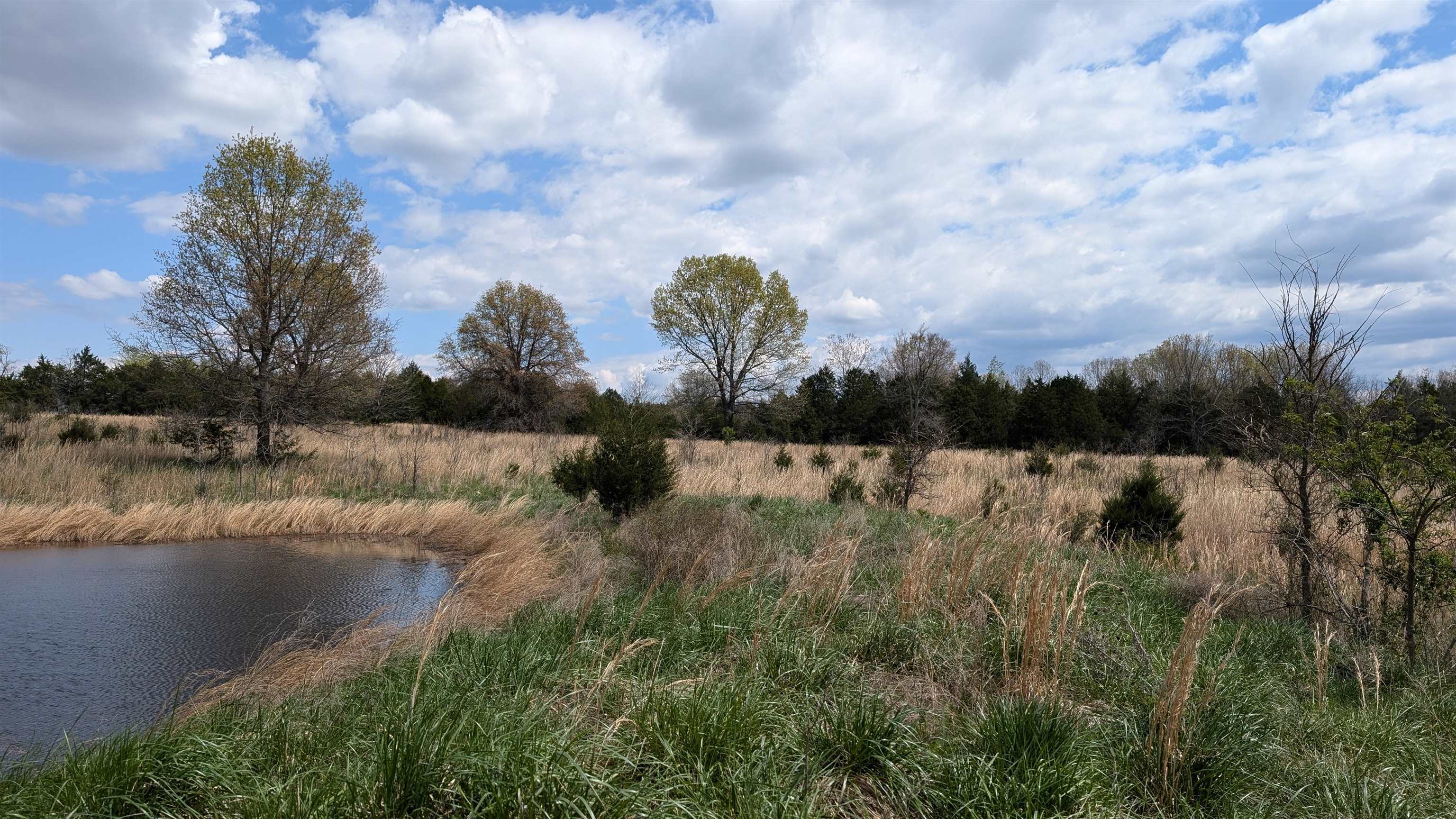   56  Ash Flat, AR