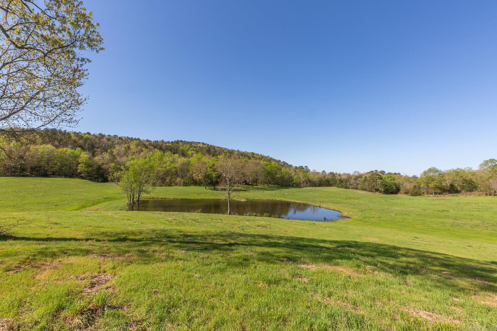 Unk  Polk Road 670  Mena, AR