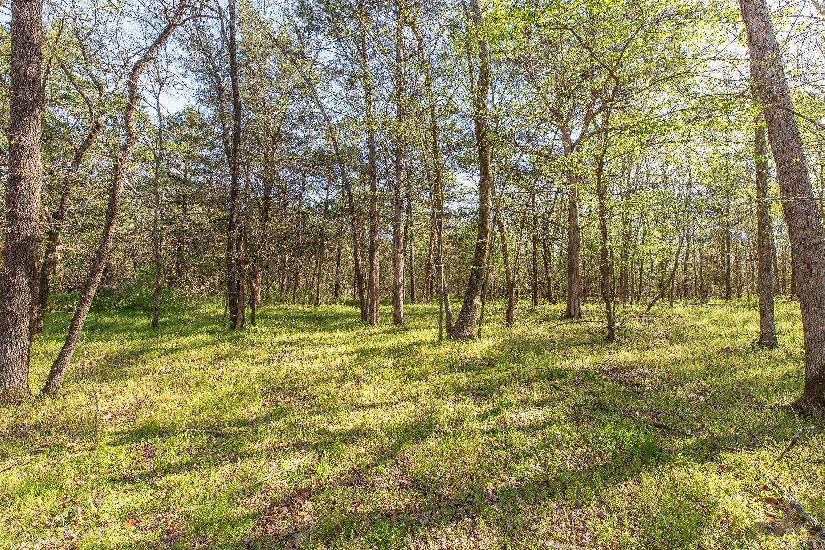 Unk  Polk Road 670  Mena, AR