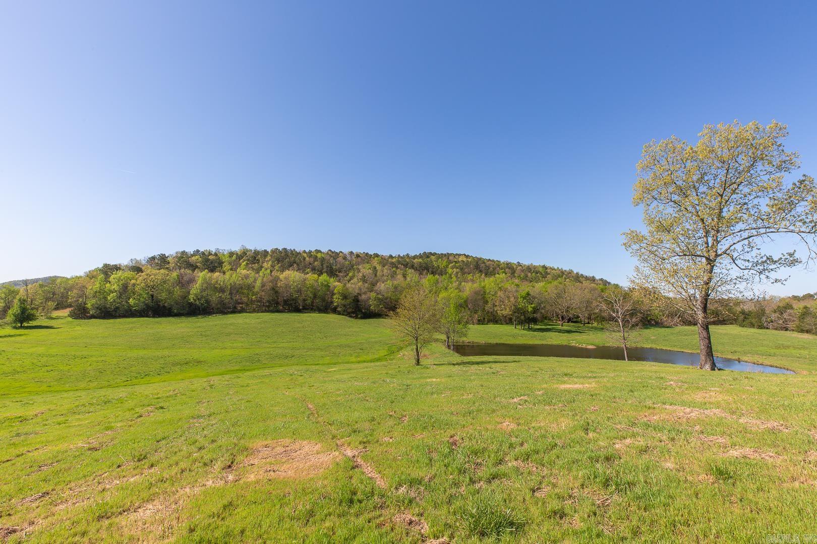 Unk  Polk Road 670  Mena, AR