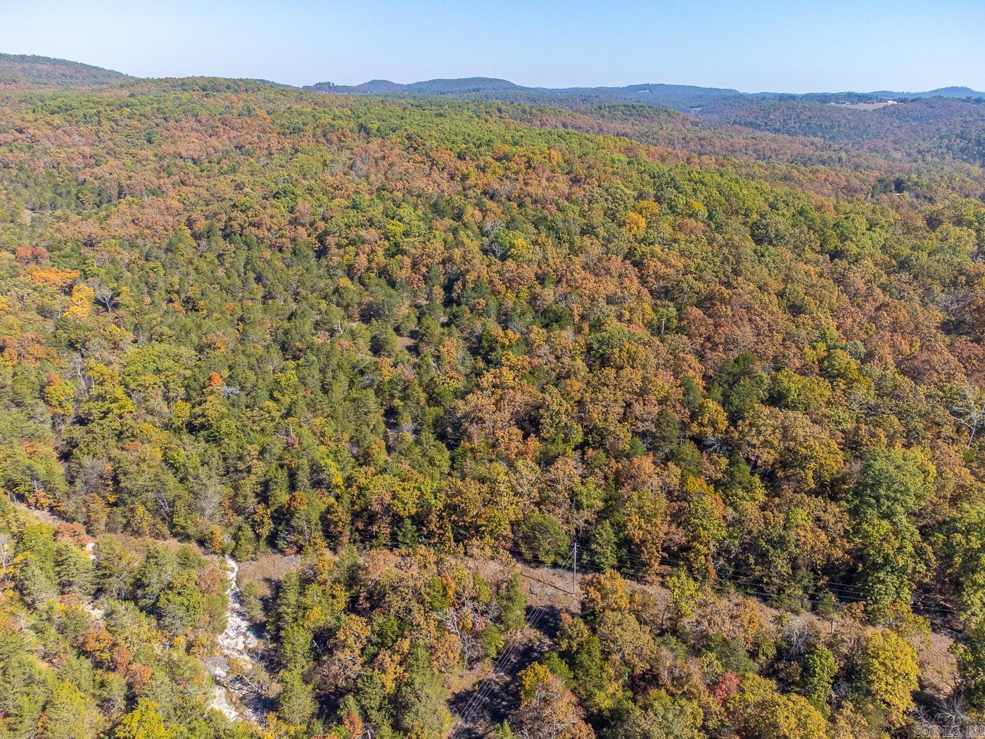 40 Acres  MC #113  Oakland, AR